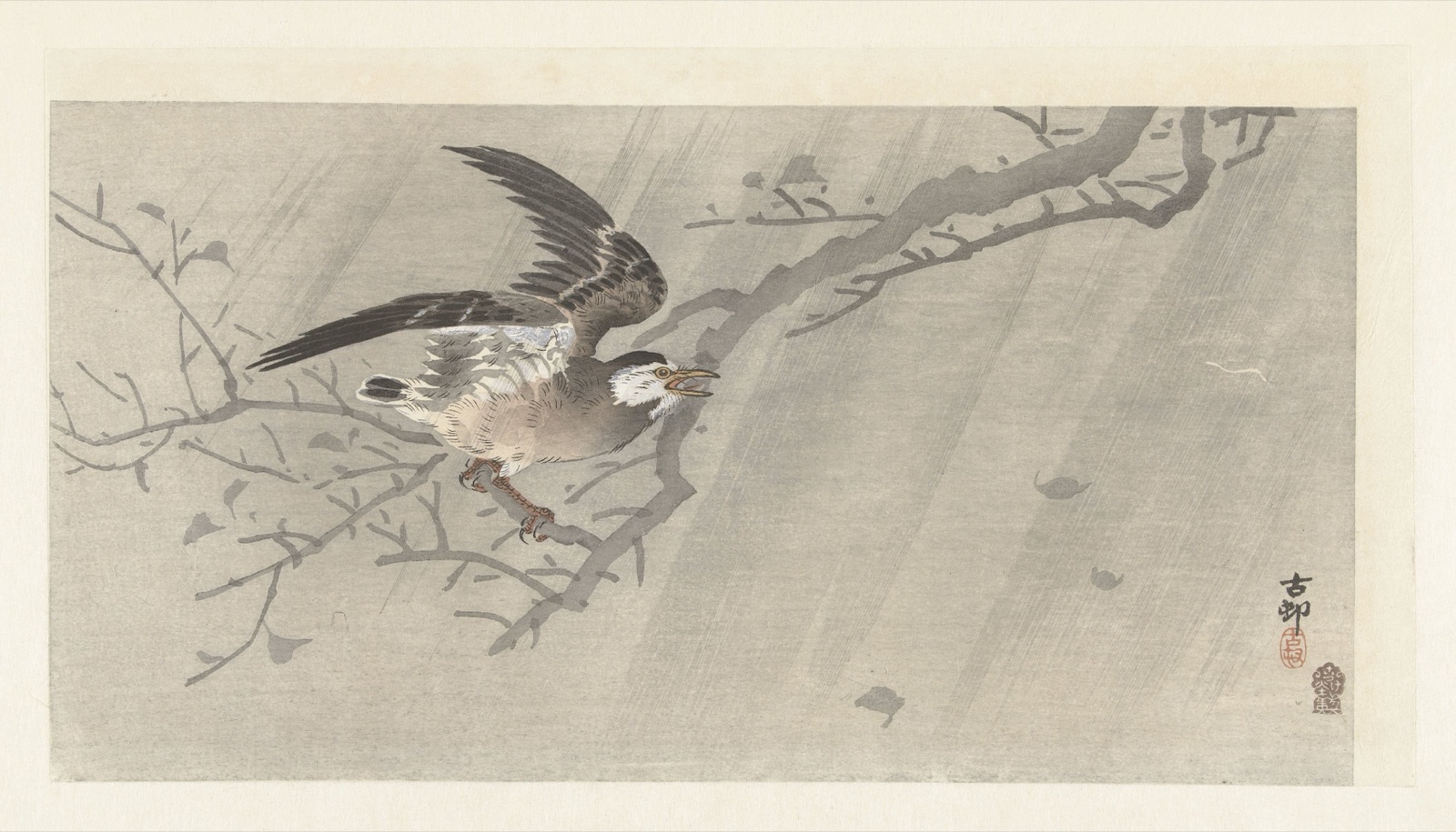 Grijze spreeuw in storm — Matsuki Heikichi (publisher); Ohara Koson (printmaker)