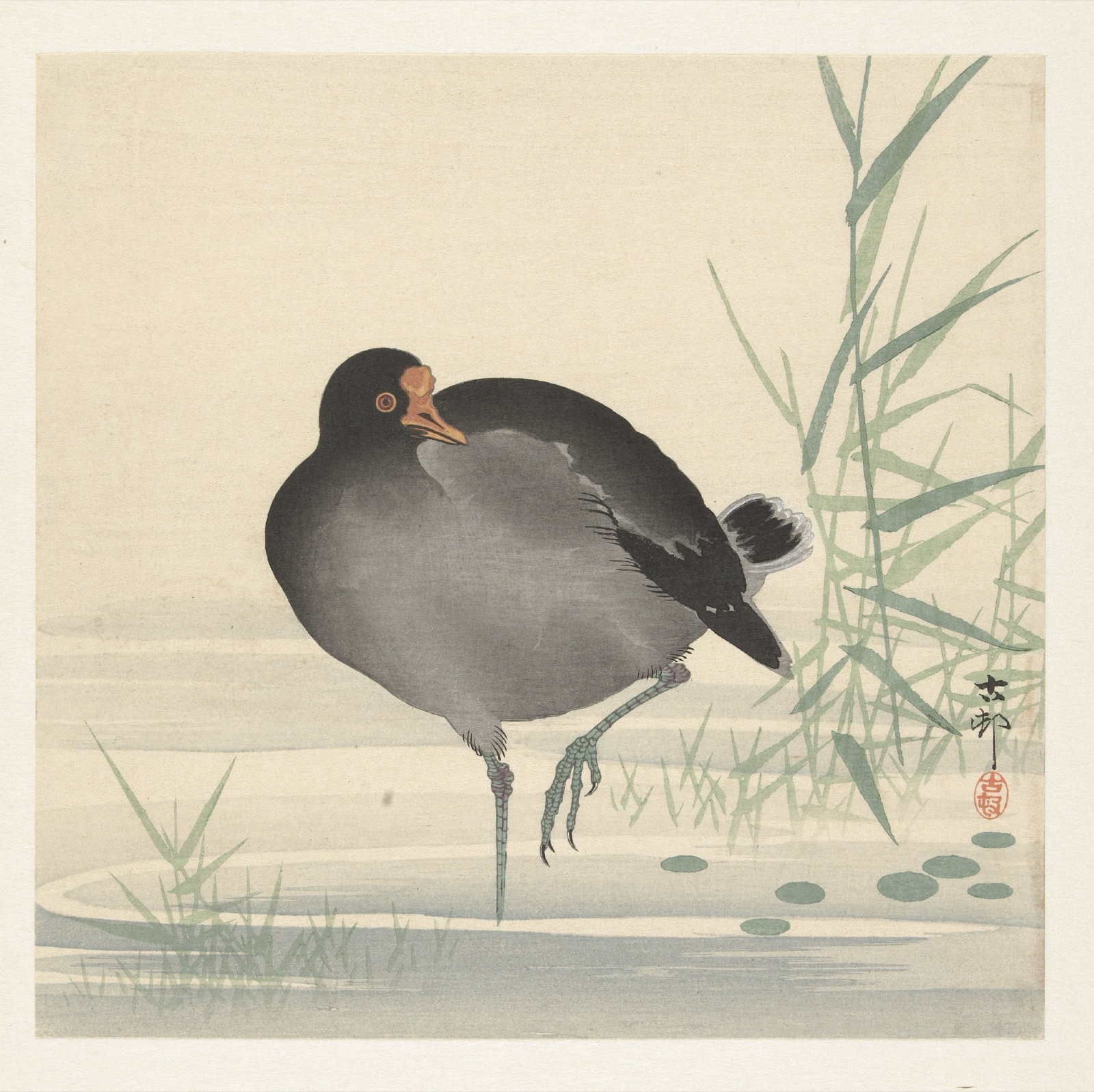 Waterhoen — Matsuki Heikichi (publisher); Ohara Koson (printmaker)