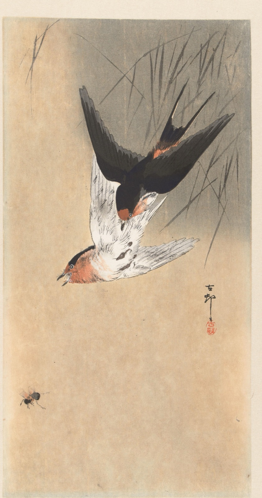 Twee boerenzwaluwen in duikvlucht. — Matsuki Heikichi (publisher); Ohara Koson (printmaker)