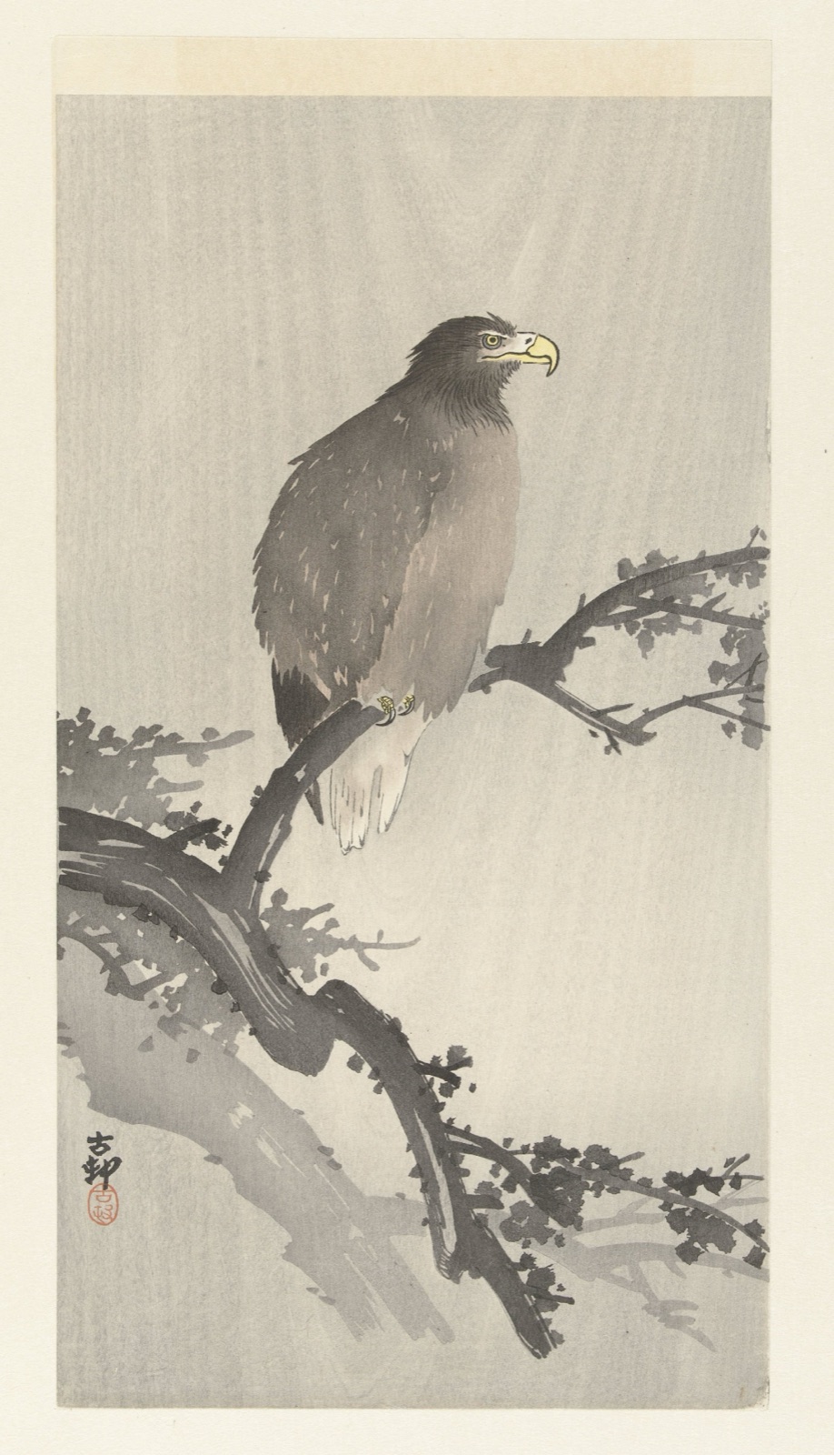 Zeearend op tak — Matsuki Heikichi (publisher); Ohara Koson (printmaker)