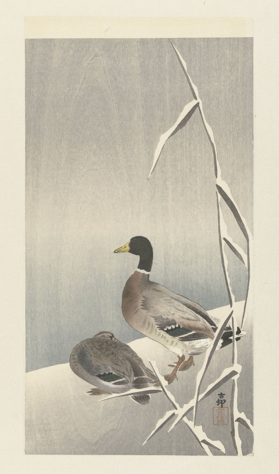 Twee eenden op besneeuwde rietover — Matsuki Heikichi (publisher); Ohara Koson (printmaker)