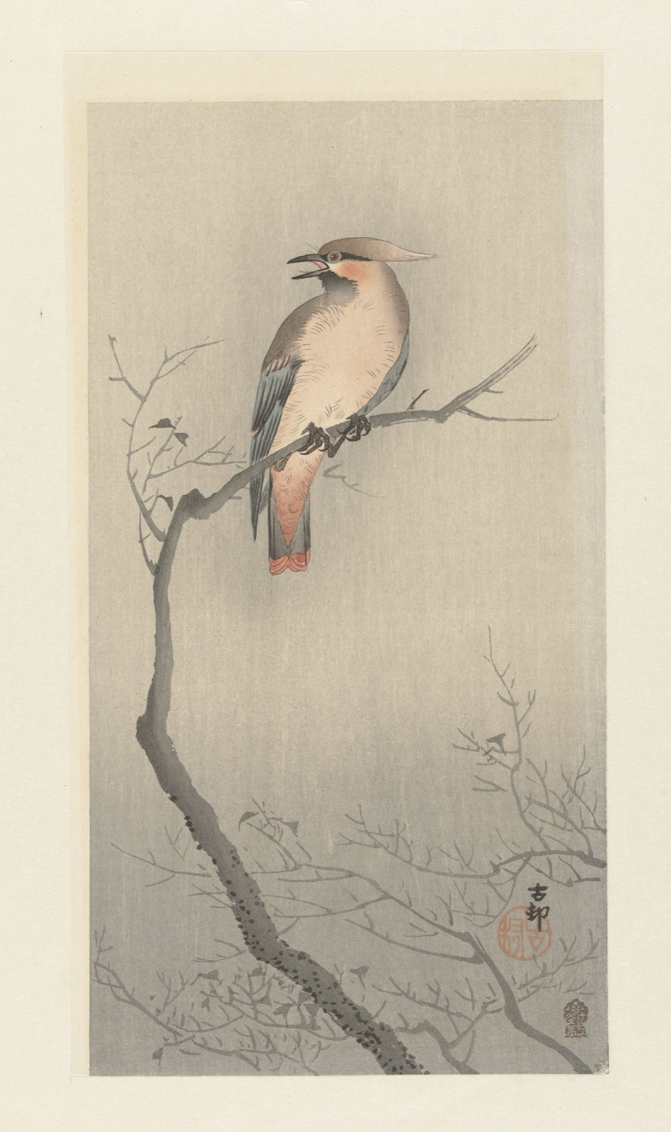 Japanse pestvogel op tak — Ohara Koson (printmaker); Akiyama Buemon (publisher)