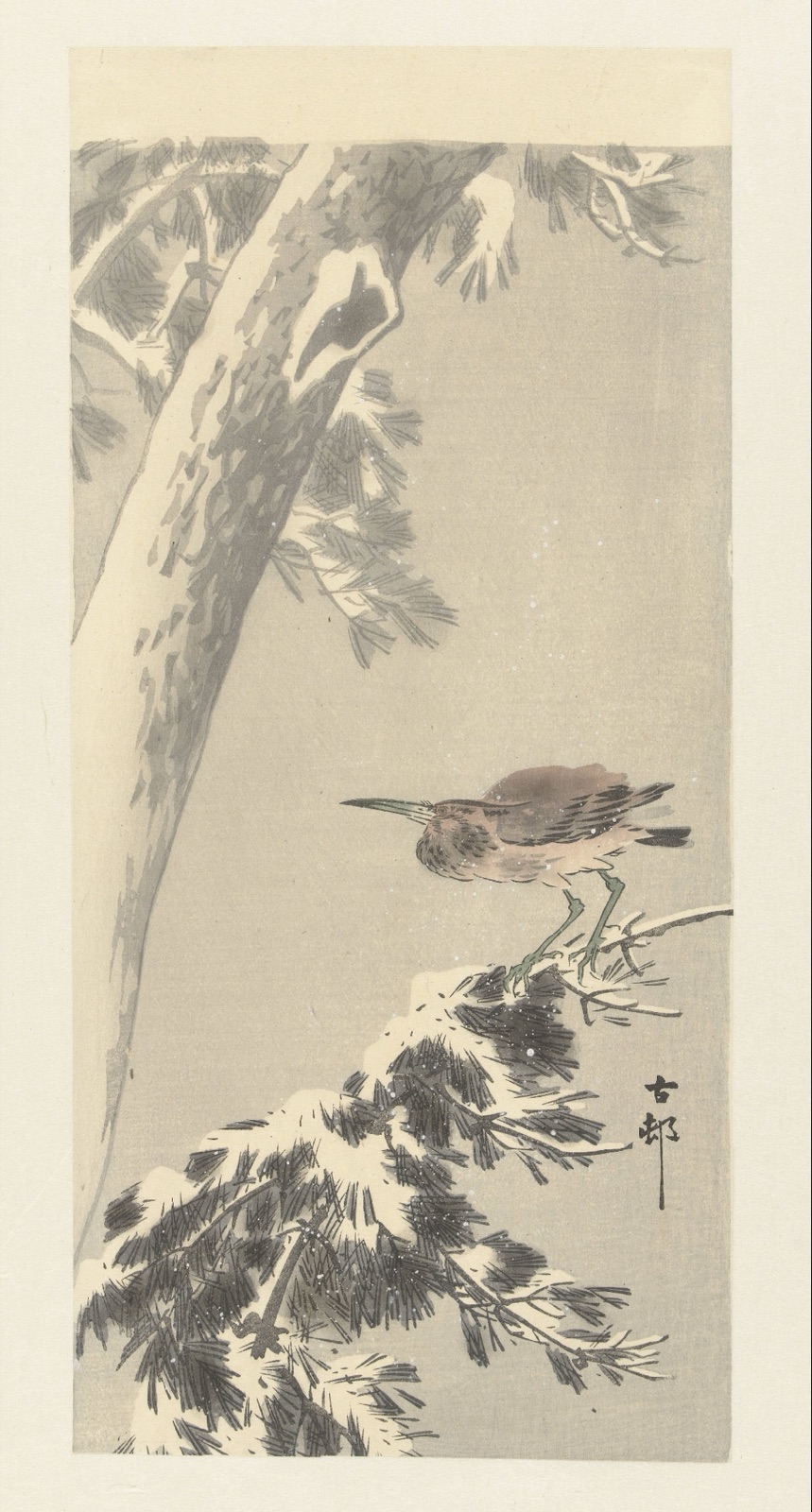 Indische kwak op besneeuwde boomtak — Ohara Koson (printmaker); Matsuki Heikichi (publisher)