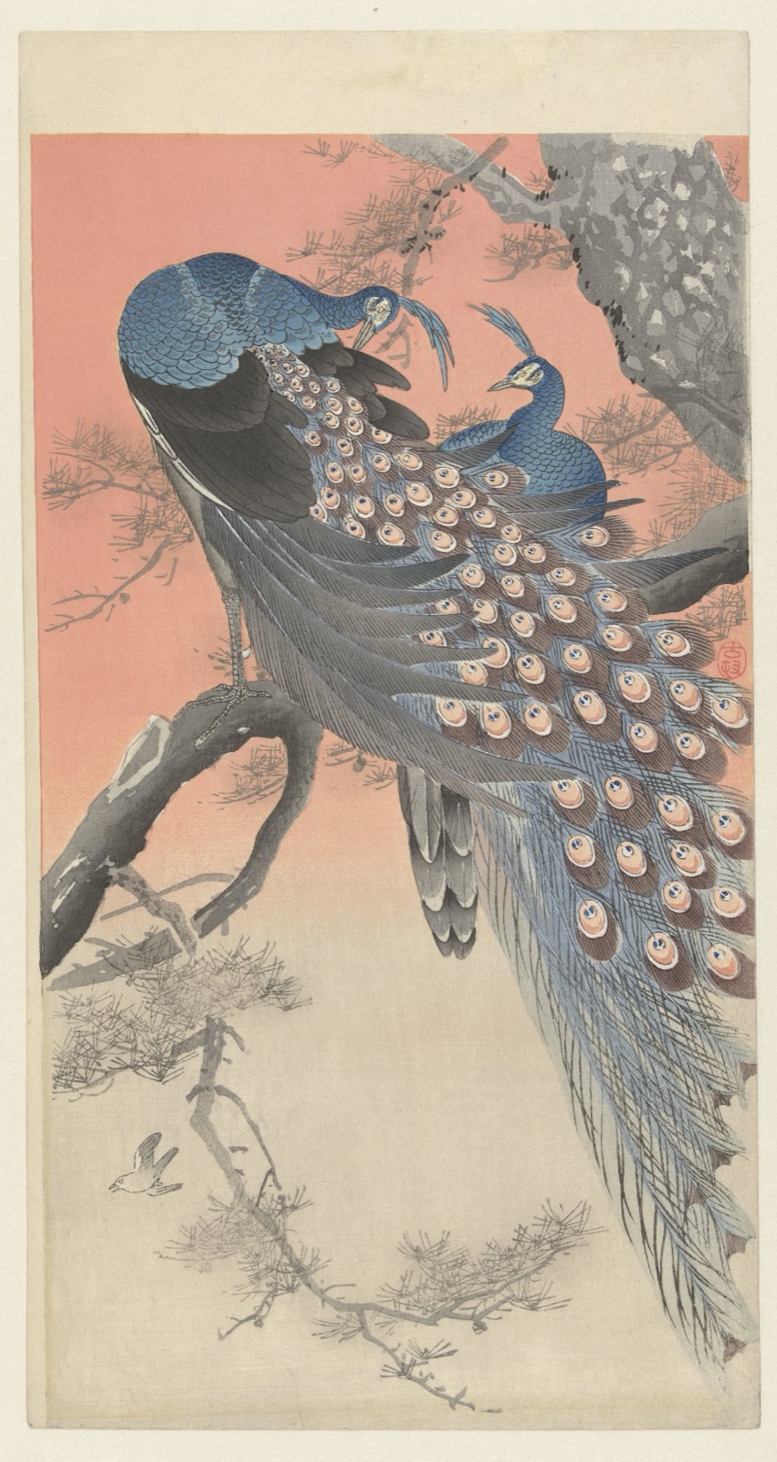 Twee pauwen op boomtak — Ohara Koson (printmaker); Matsuki Heikichi (publisher)