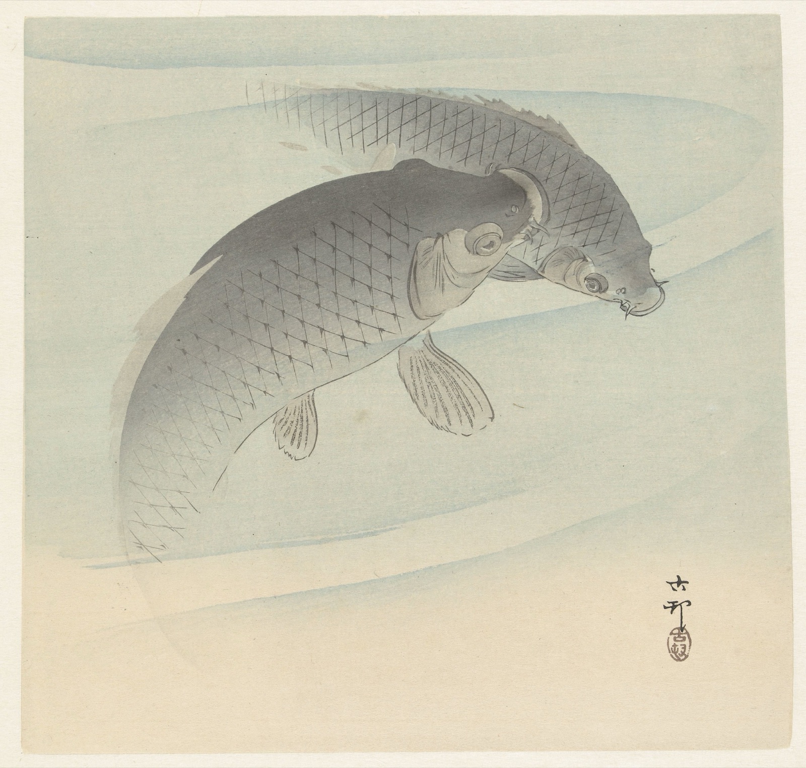 Twee karpers — Ohara Koson (printmaker); Matsuki Heikichi (publisher)