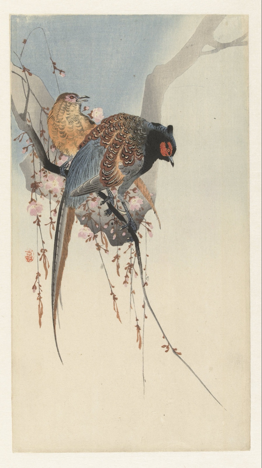 Fazantenkoppel en pruimenbloesem — Matsuki Heikichi (publisher); Ohara Koson (printmaker)
