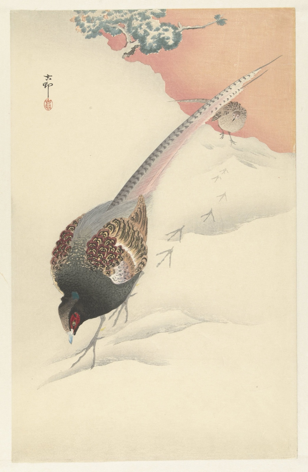 Fazantenkoppel in de sneeuw — Ohara Koson (printmaker); Nishinomiya Yosaku (publisher)
