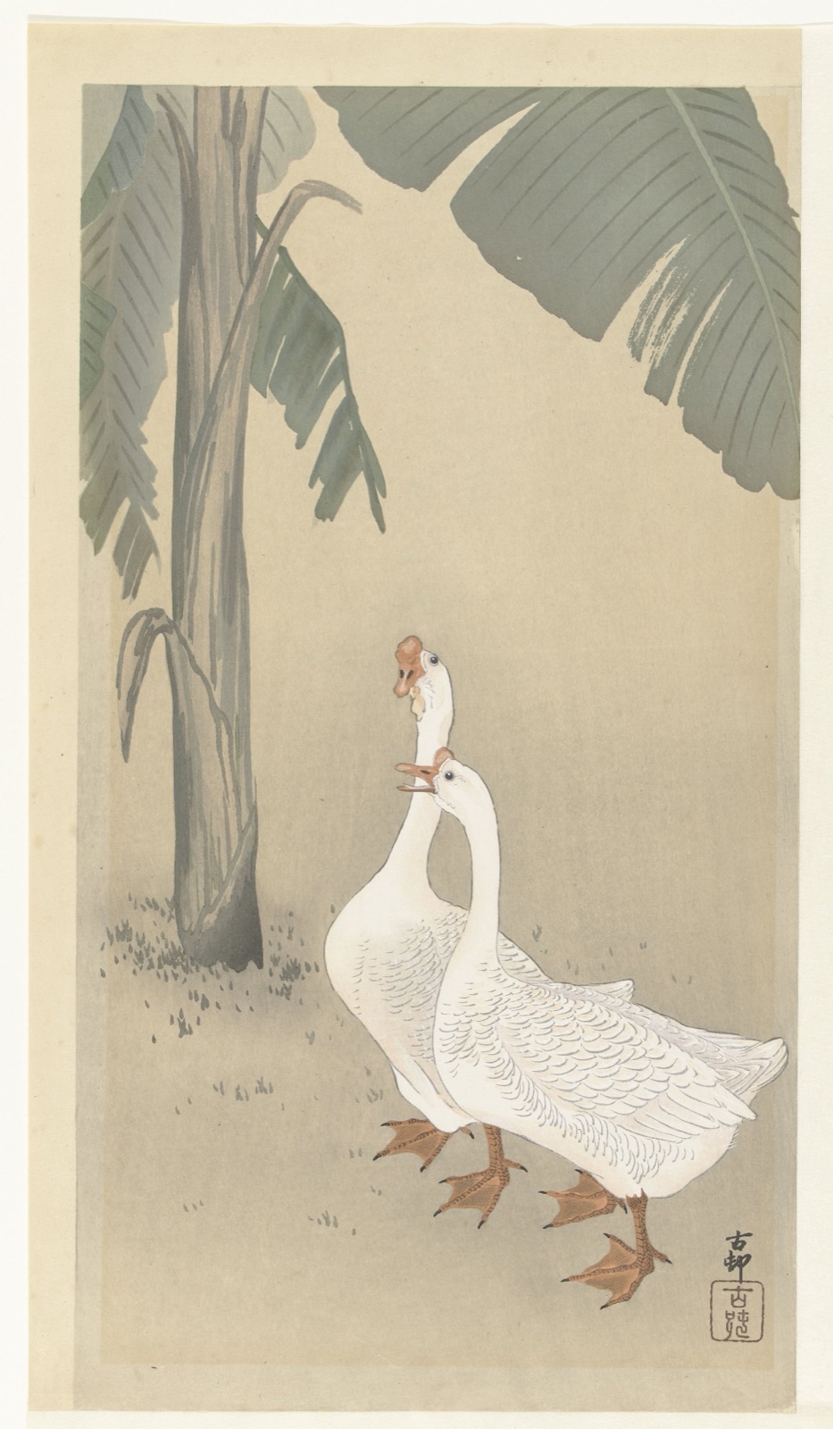 Twee ganzen bij bananenboom — Ohara Koson (printmaker)