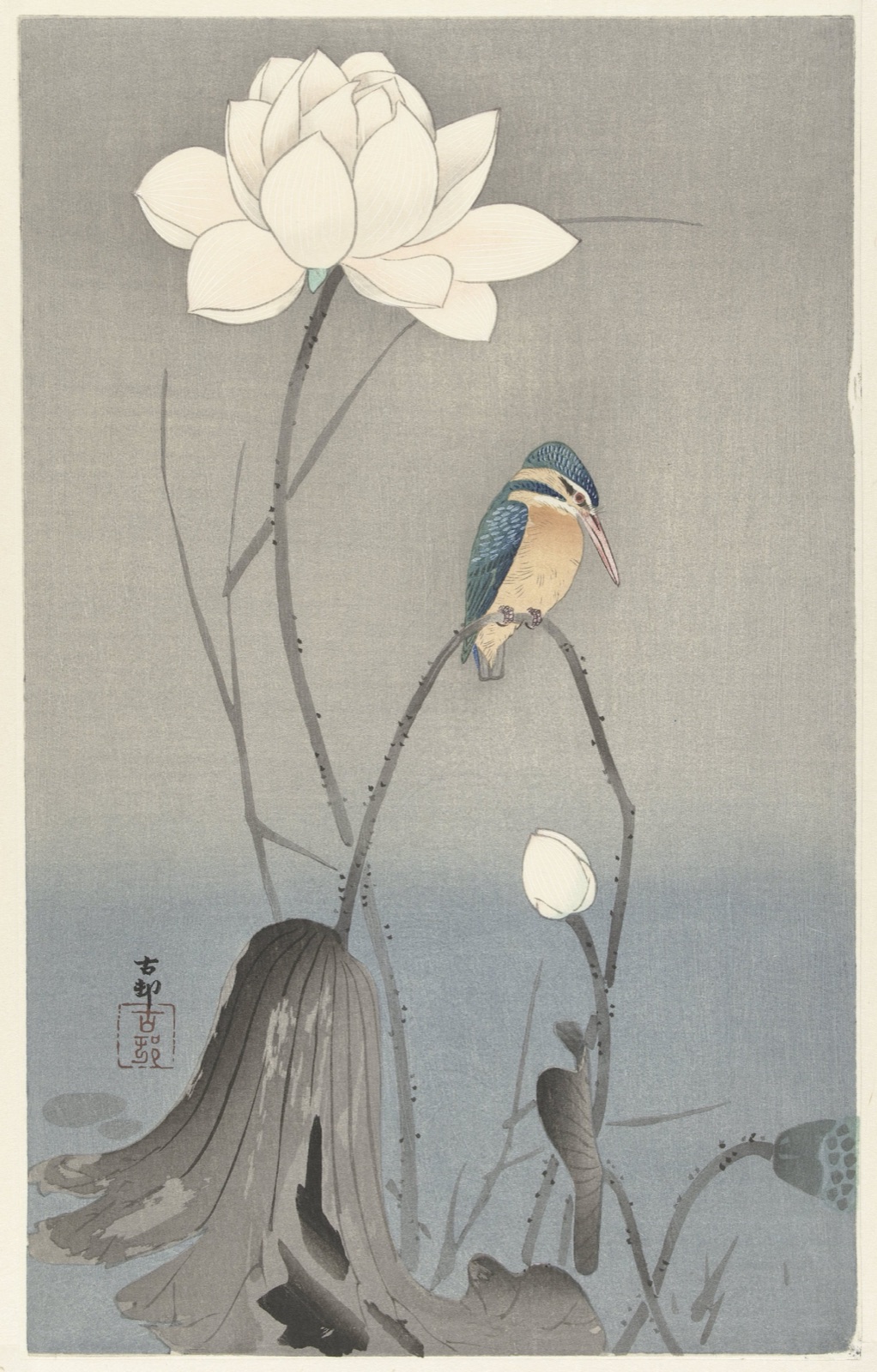IJsvogel bij lotusbloem — Nishinomiya Yosaku (publisher); Ohara Koson (printmaker)