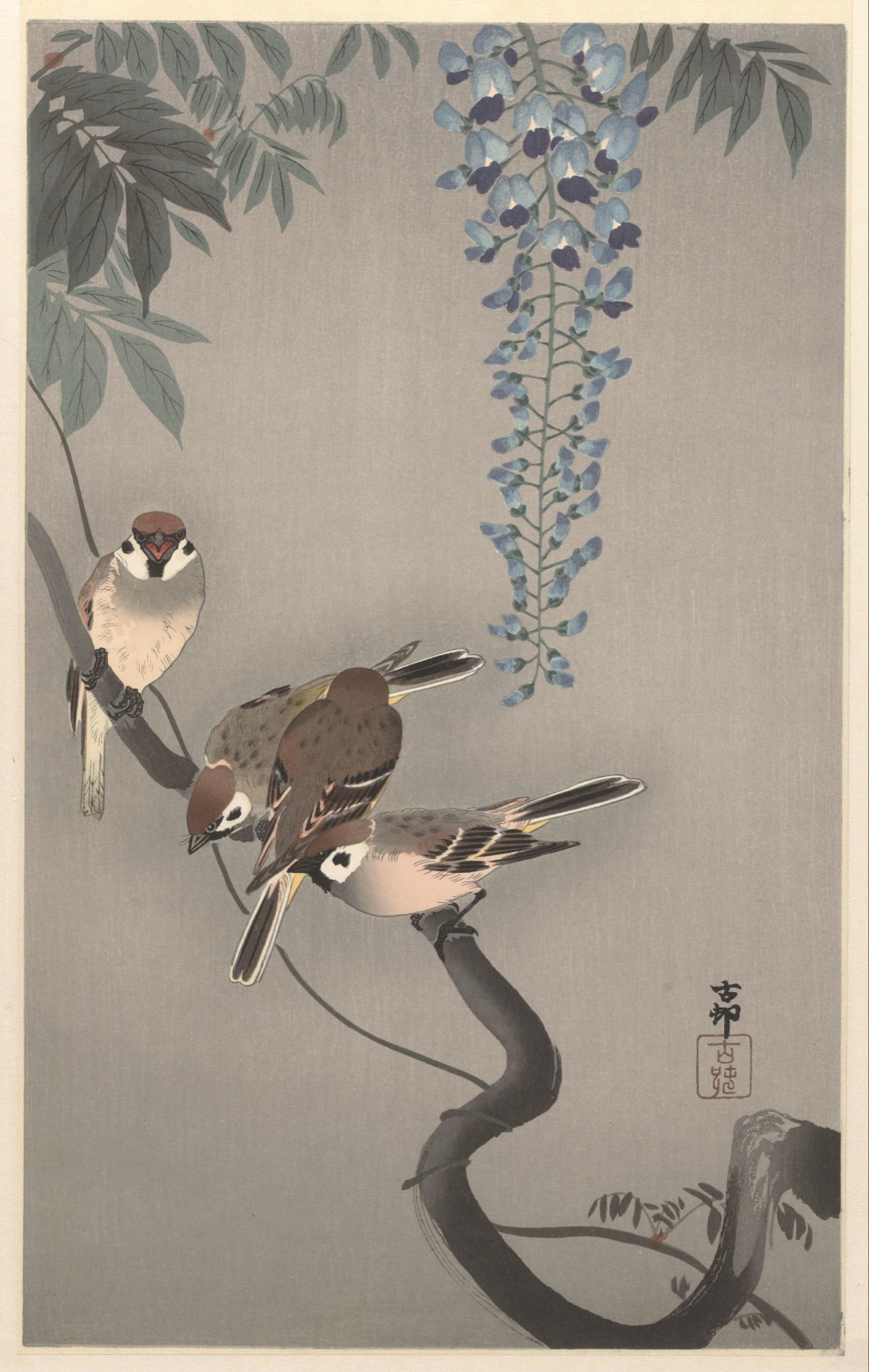 Ringmussen bij wisteria — Ohara Koson (printmaker); Nishinomiya Yosaku (publisher)