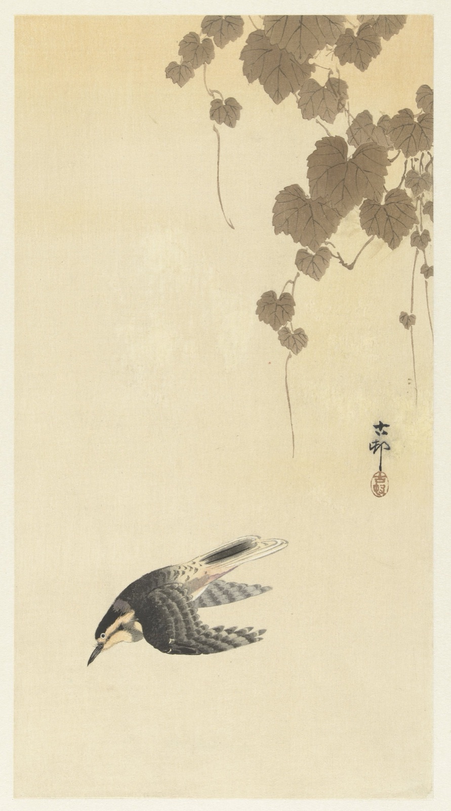 Vogel in neerwaartse vlucht — Matsuki Heikichi (publisher); Ohara Koson (printmaker)