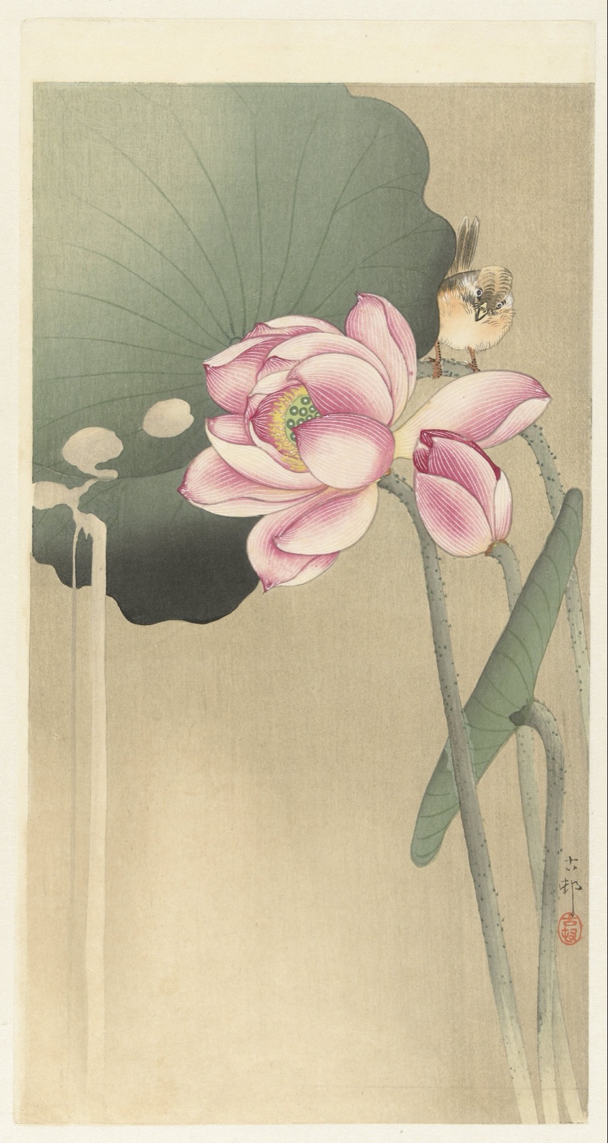 Songbird and Lotus — Ohara Koson (printmaker)