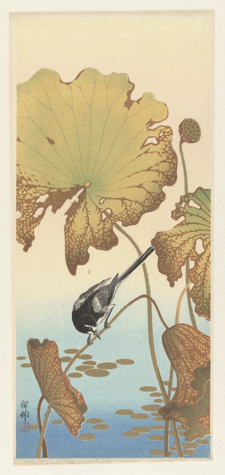 Japanse kwikstaart op lotusplant — Watanabe Shōzaburō (publisher); Ohara Koson (printmaker)