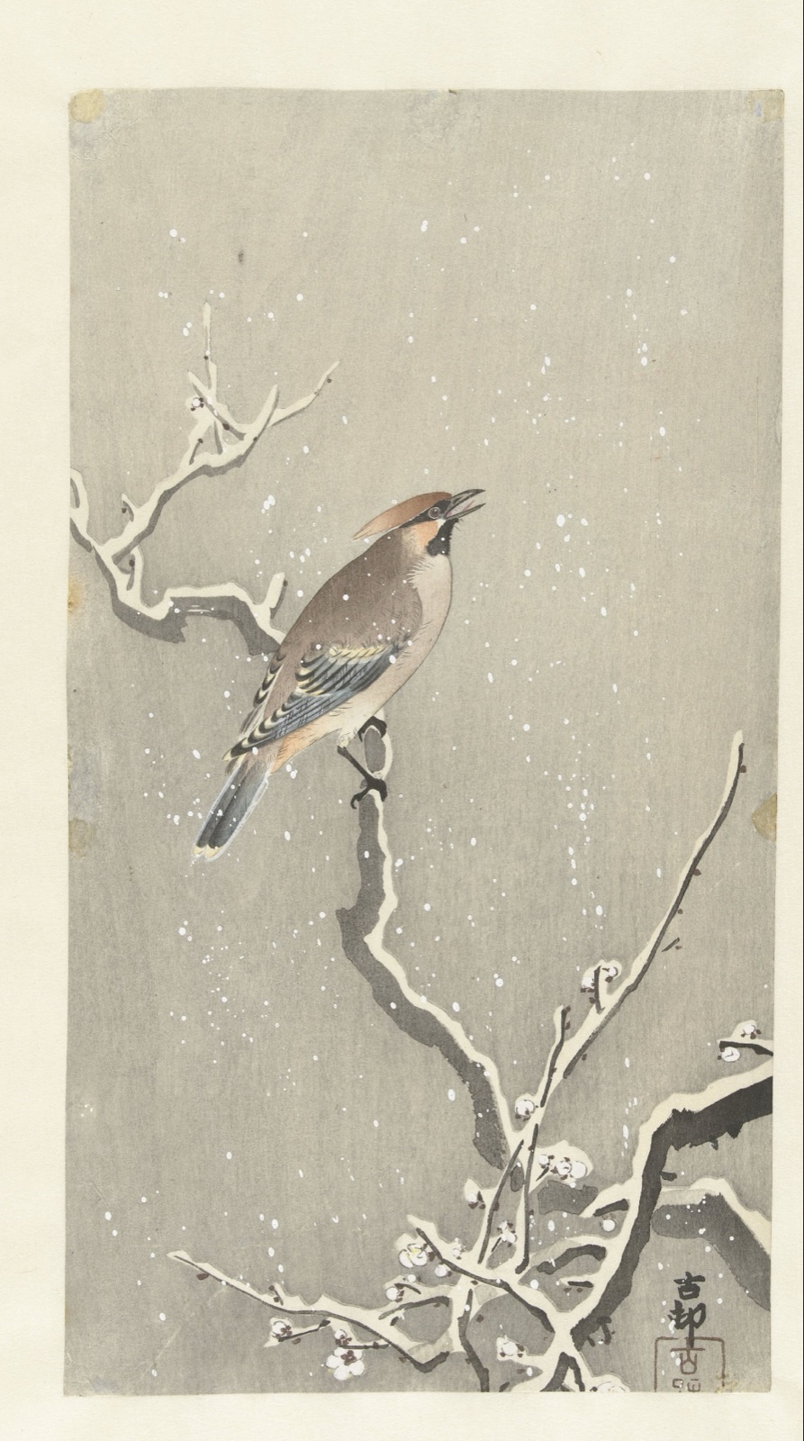 Pestvogel op besneeuwde tak — Ohara Koson (printmaker)