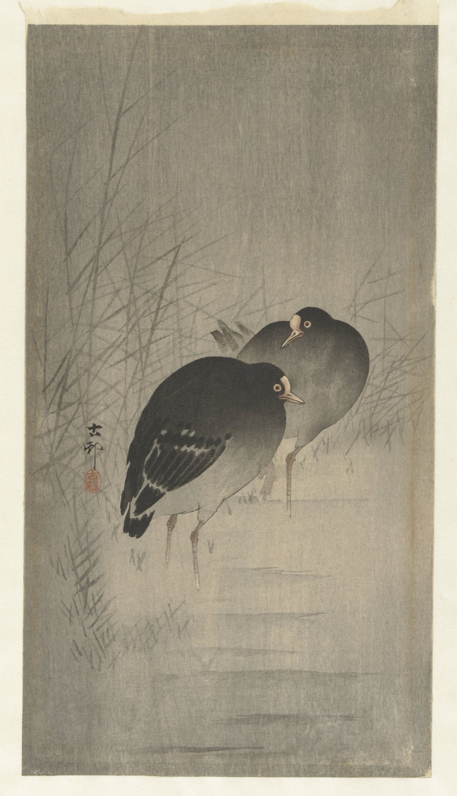 Waterhoentjes tussen riet — Ohara Koson (printmaker); Matsuki Heikichi (publisher)
