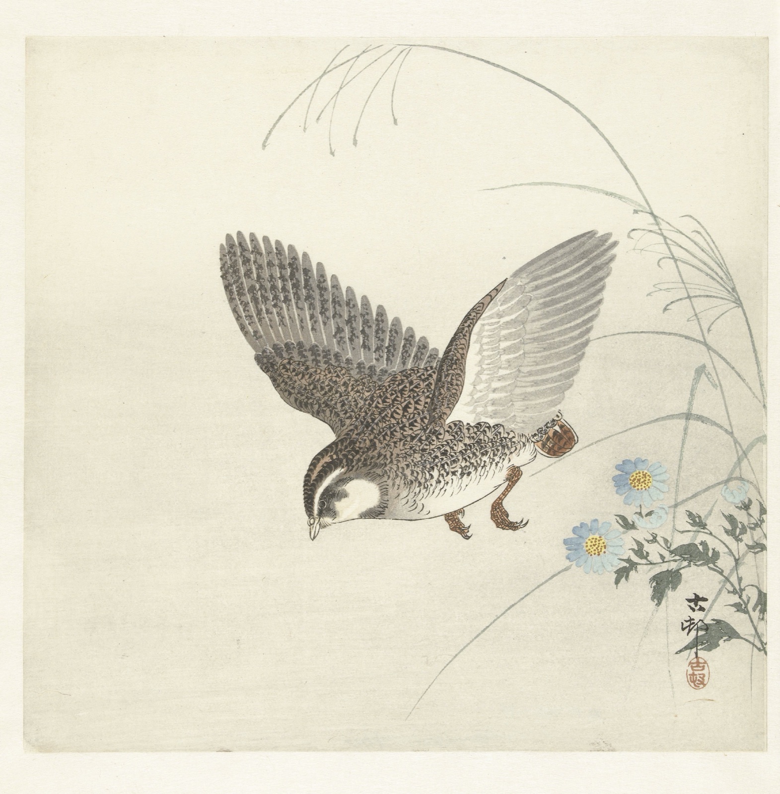 Vliegende kwartel — Matsuki Heikichi (publisher); Ohara Koson (printmaker)