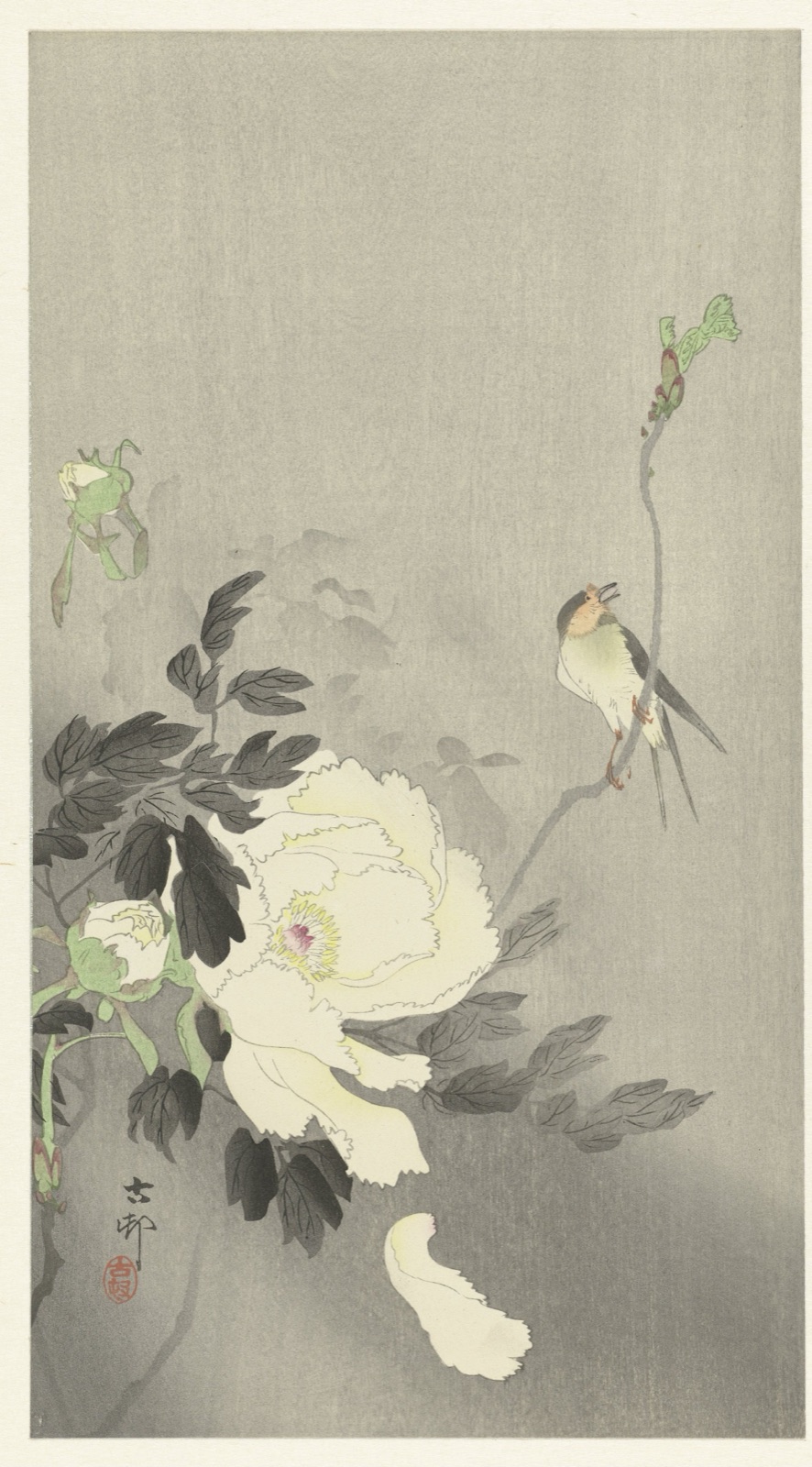 Vogel bij pioenroos — Ohara Koson (printmaker); Matsuki Heikichi (publisher)