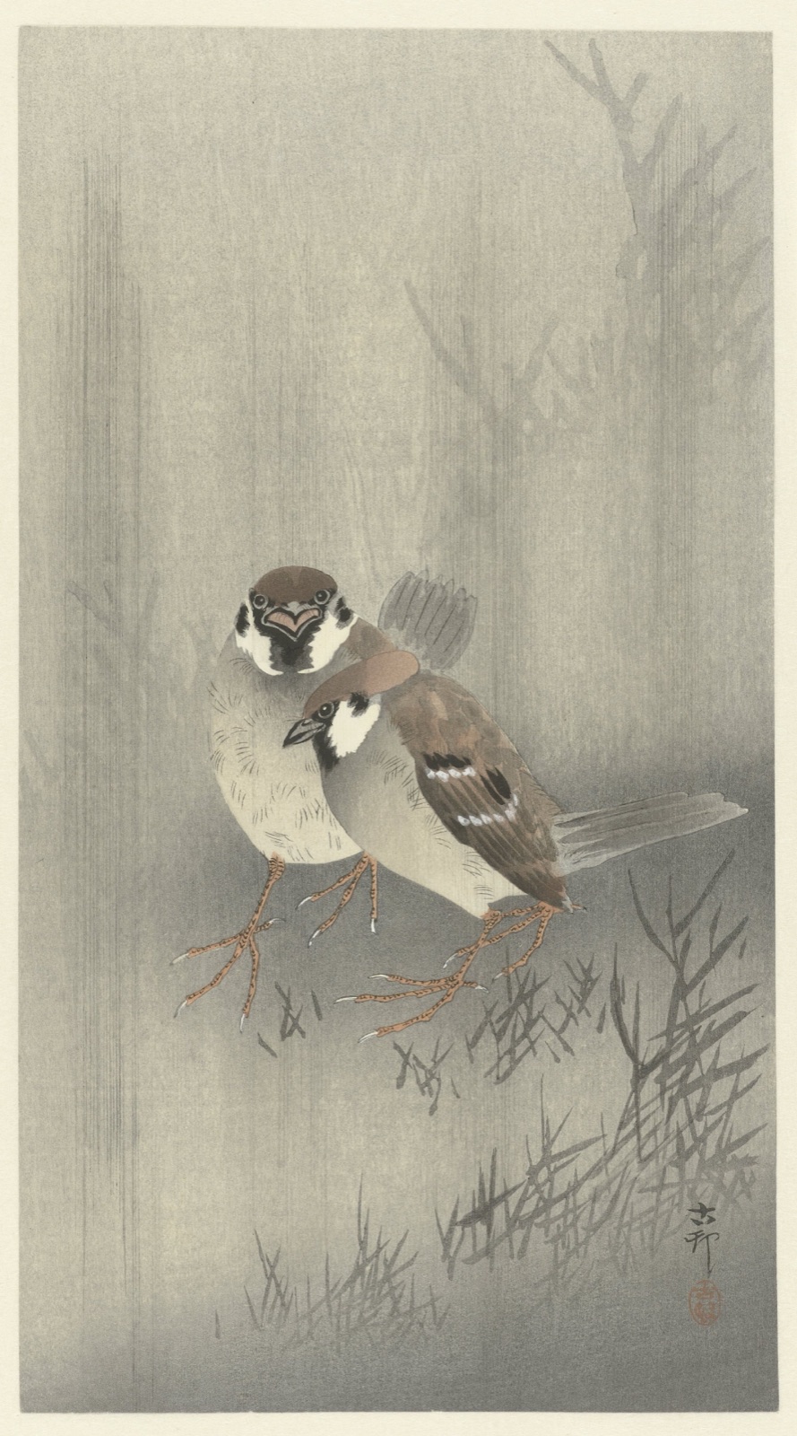 Twee ringmussen in de regen — Ohara Koson (printmaker); Matsuki Heikichi (publisher)