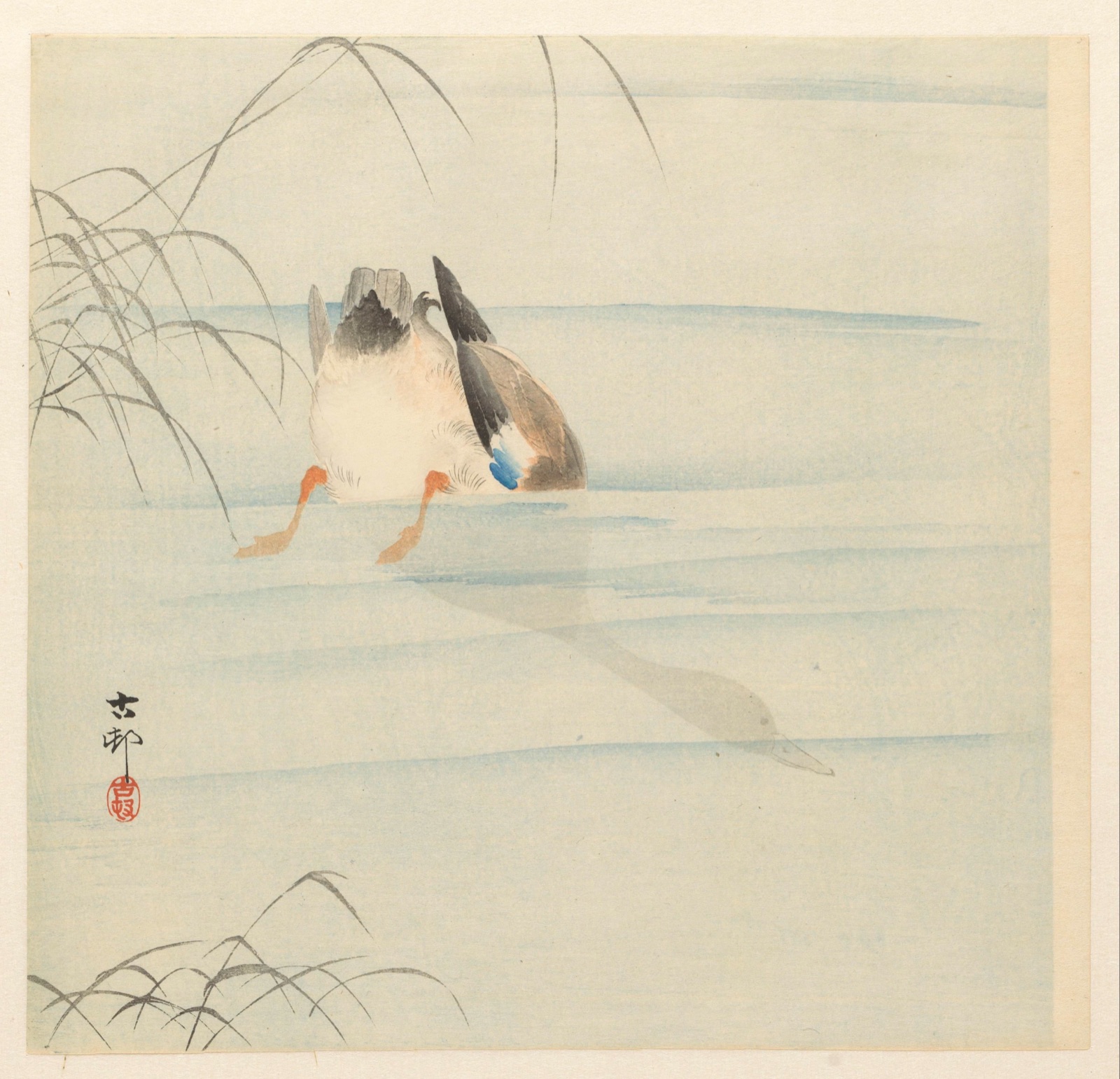 Wilde eend, de kop onder water — Matsuki Heikichi (publisher); Ohara Koson (printmaker)