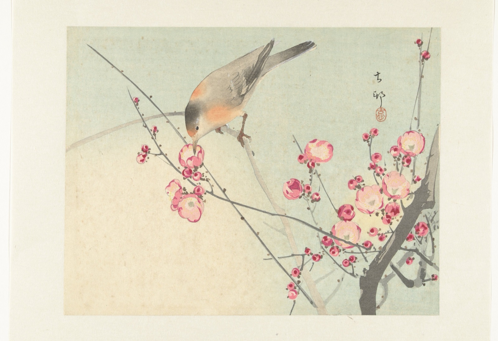 Zangvogel op bloesemtak — Ohara Koson (printmaker)