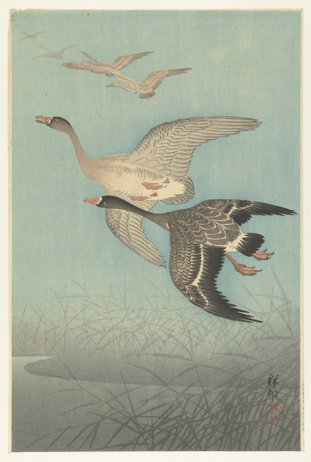 Kolganzen in de vlucht — Watanabe Shōzaburō (publisher); Ohara Koson (printmaker)