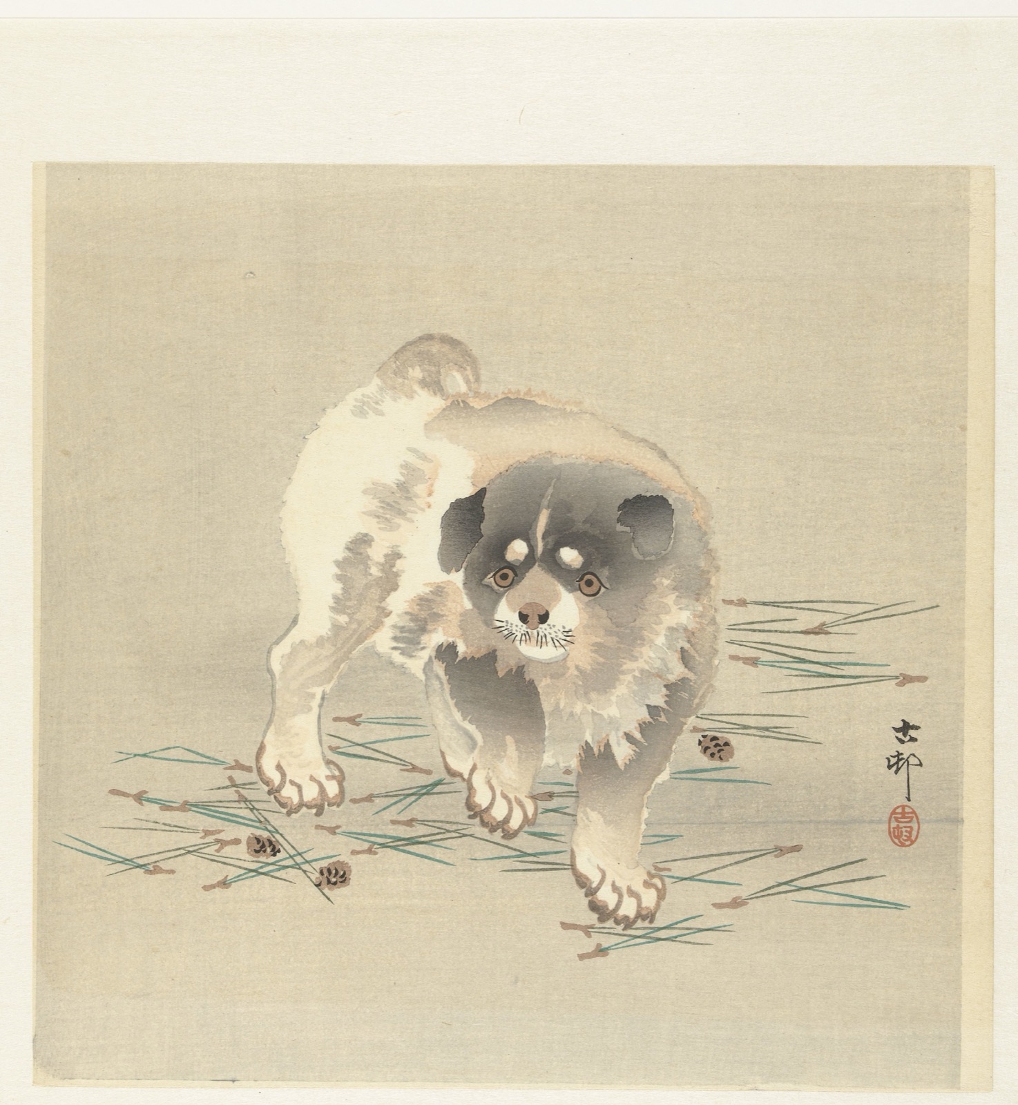 Jonge hond — Ohara Koson (printmaker); Matsuki Heikichi (publisher)