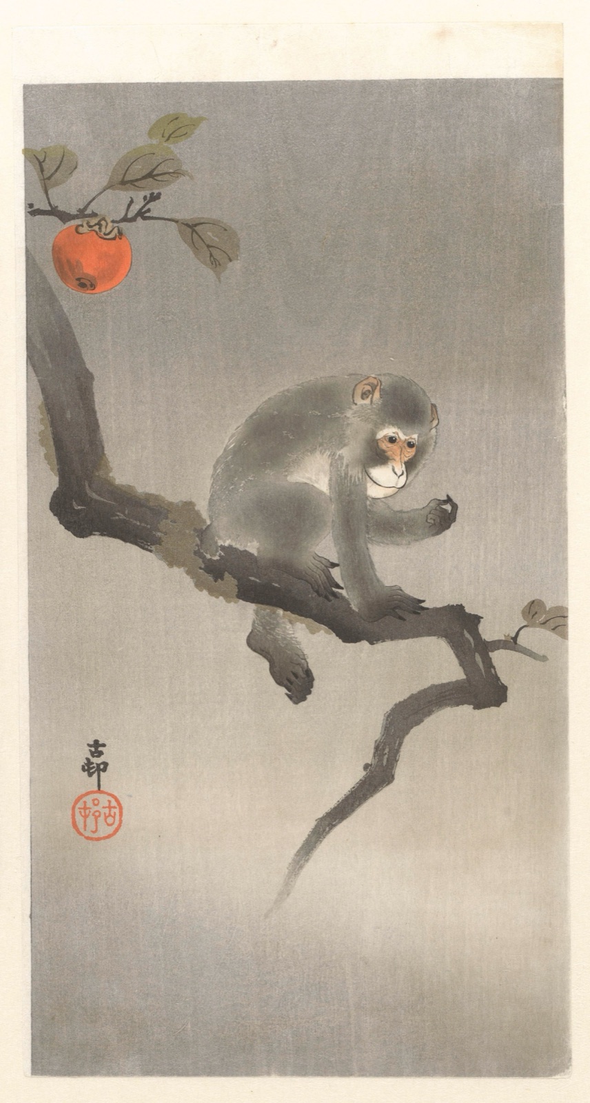Aap in kakiboom — Ohara Koson (printmaker); Matsuki Heikichi (publisher)