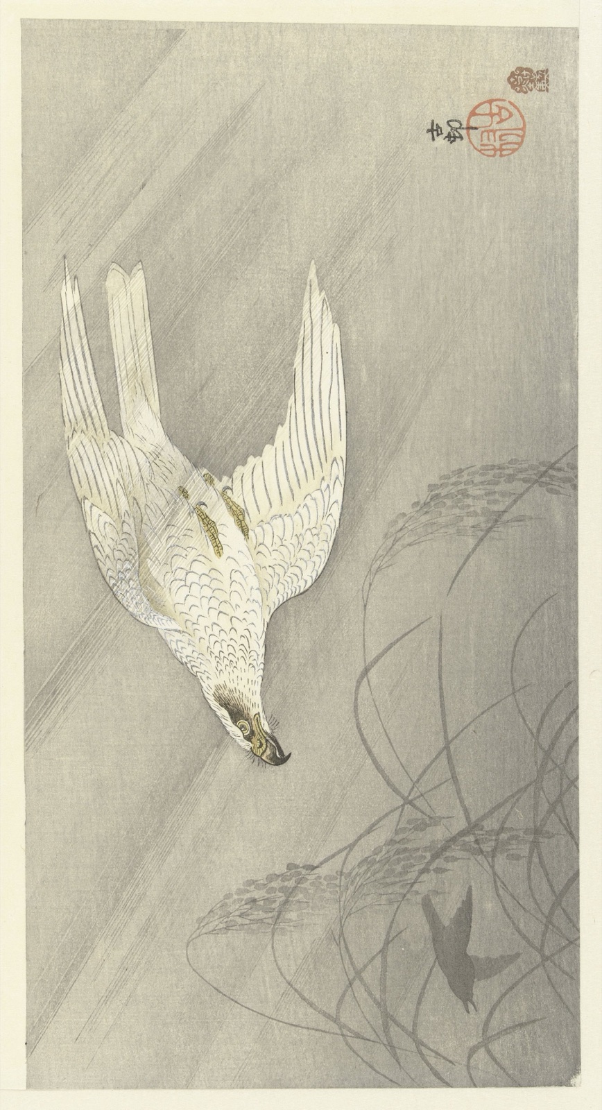 Jagende havik — Akiyama Buemon (publisher); Ohara Koson (printmaker)