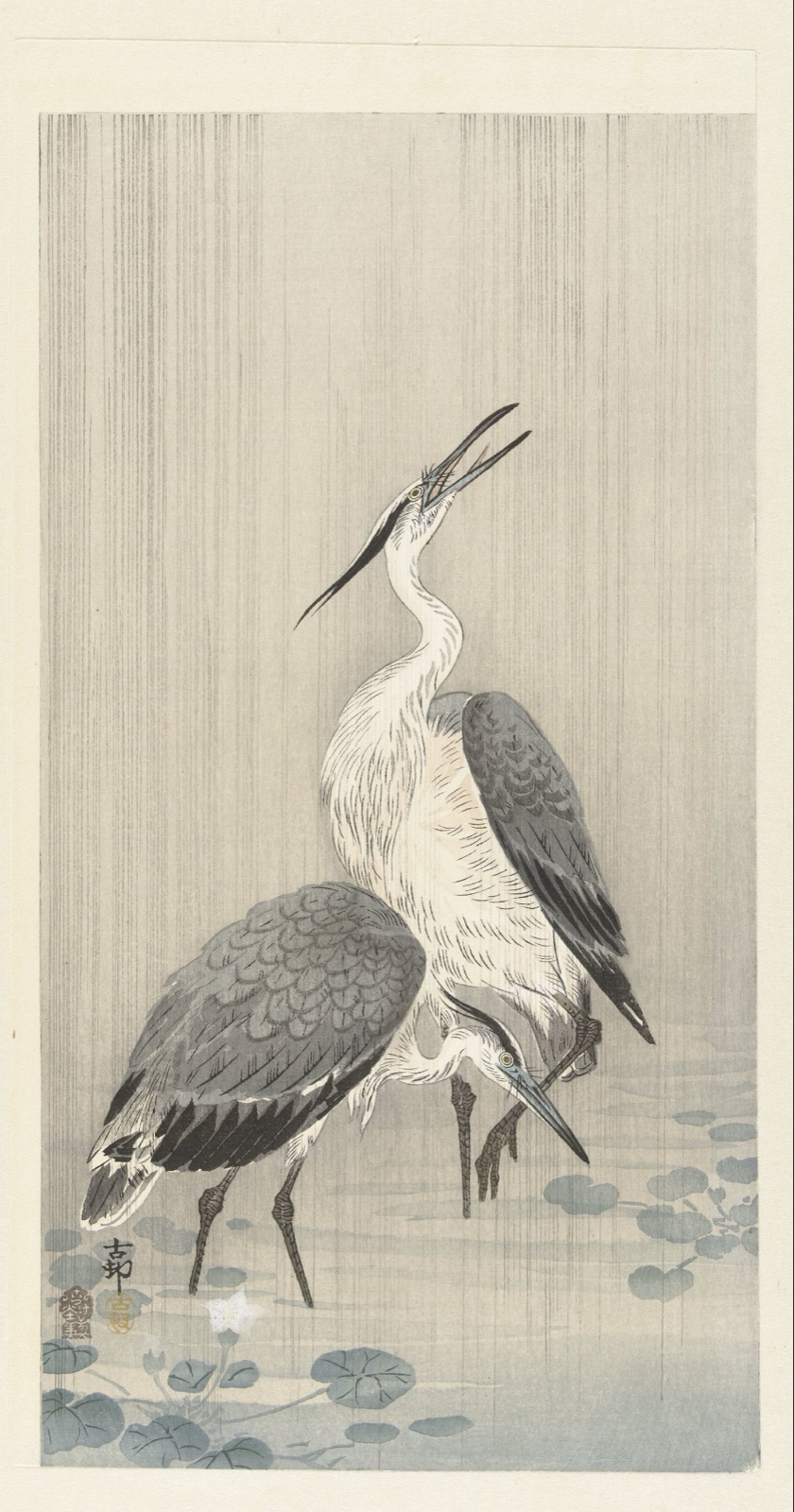 Twee reigers in de regen — Ohara Koson (printmaker); Akiyama Buemon (publisher)