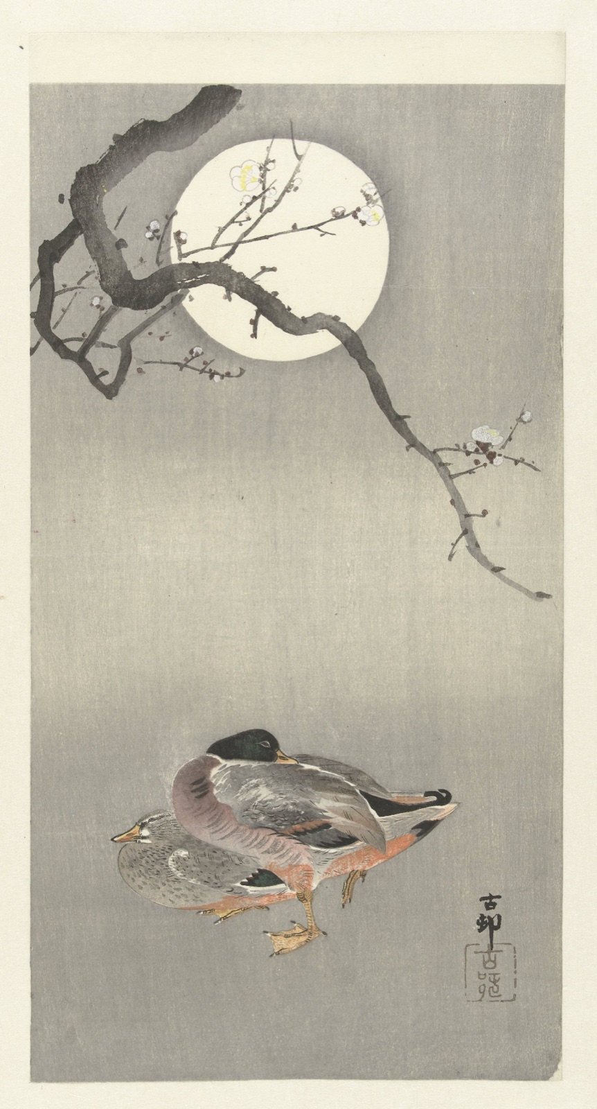 Eenden bij volle maan — Ohara Koson (printmaker)