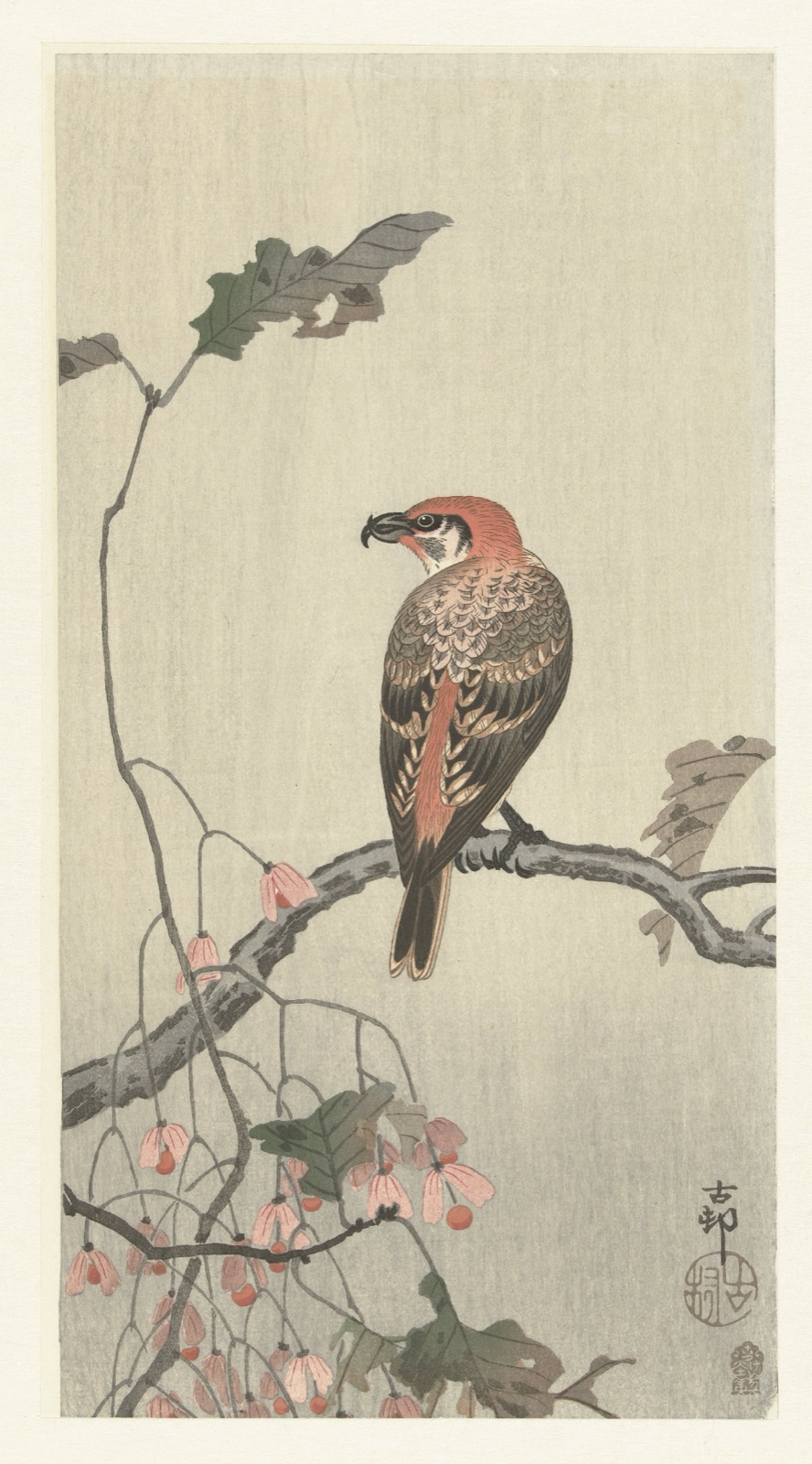 Kruisbek op boomtak — Ohara Koson (printmaker); Akiyama Buemon (publisher)