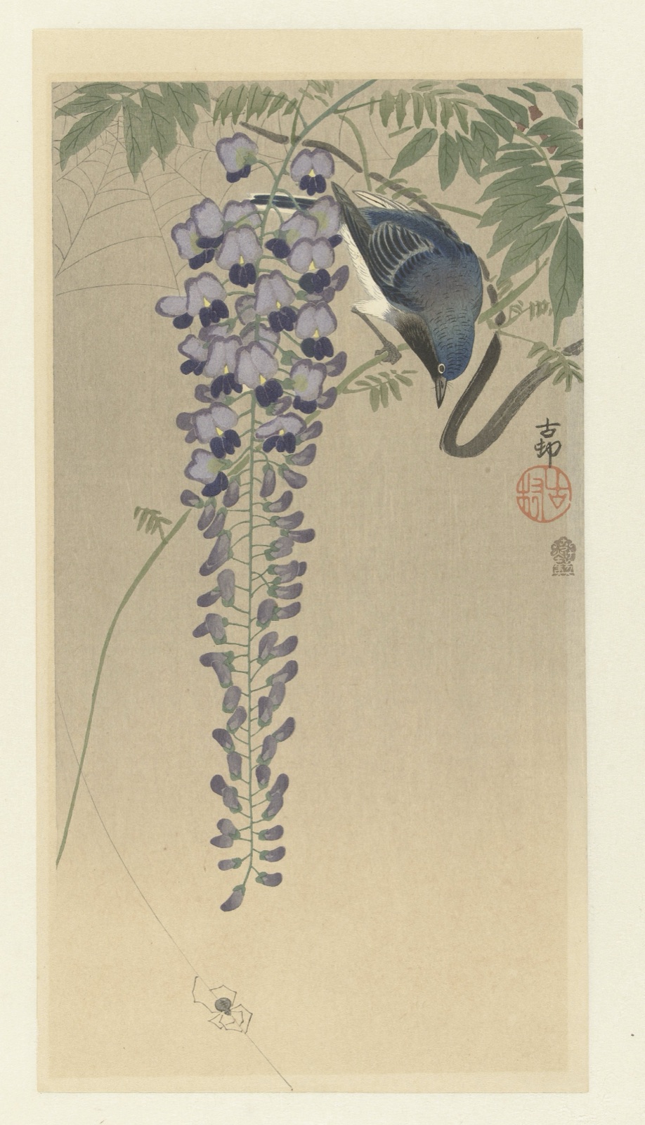 Vliegenvanger bij wisteria — Ohara Koson (printmaker); Akiyama Buemon (publisher)