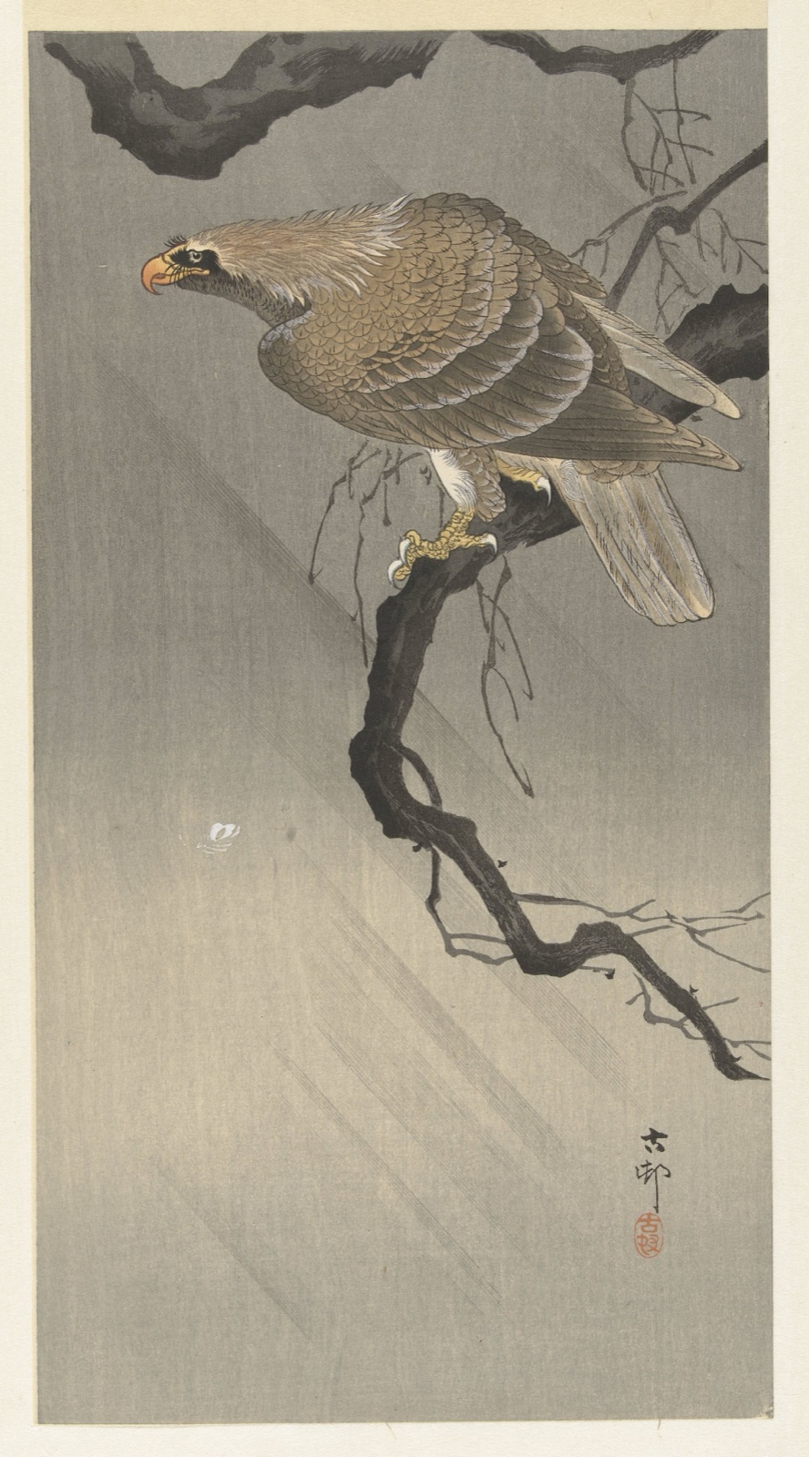 Arend op tak — Akiyama Buemon (publisher); Ohara Koson (printmaker)