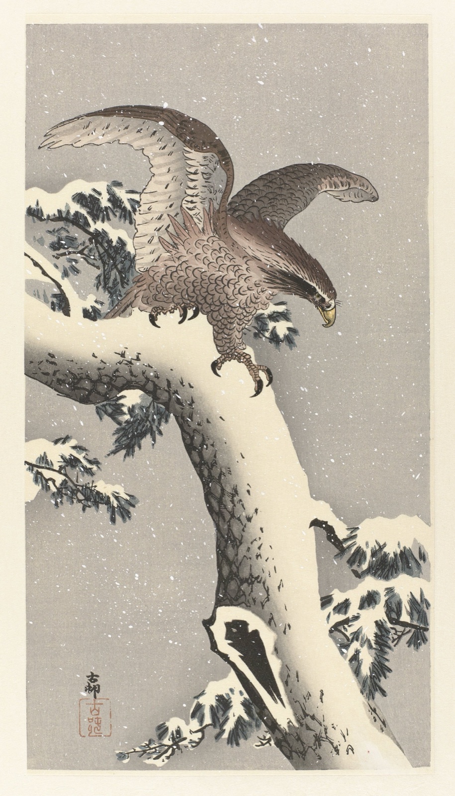 Arend op besneeuwde pijnboom — Matsuki Heikichi (publisher); Ohara Koson (printmaker)
