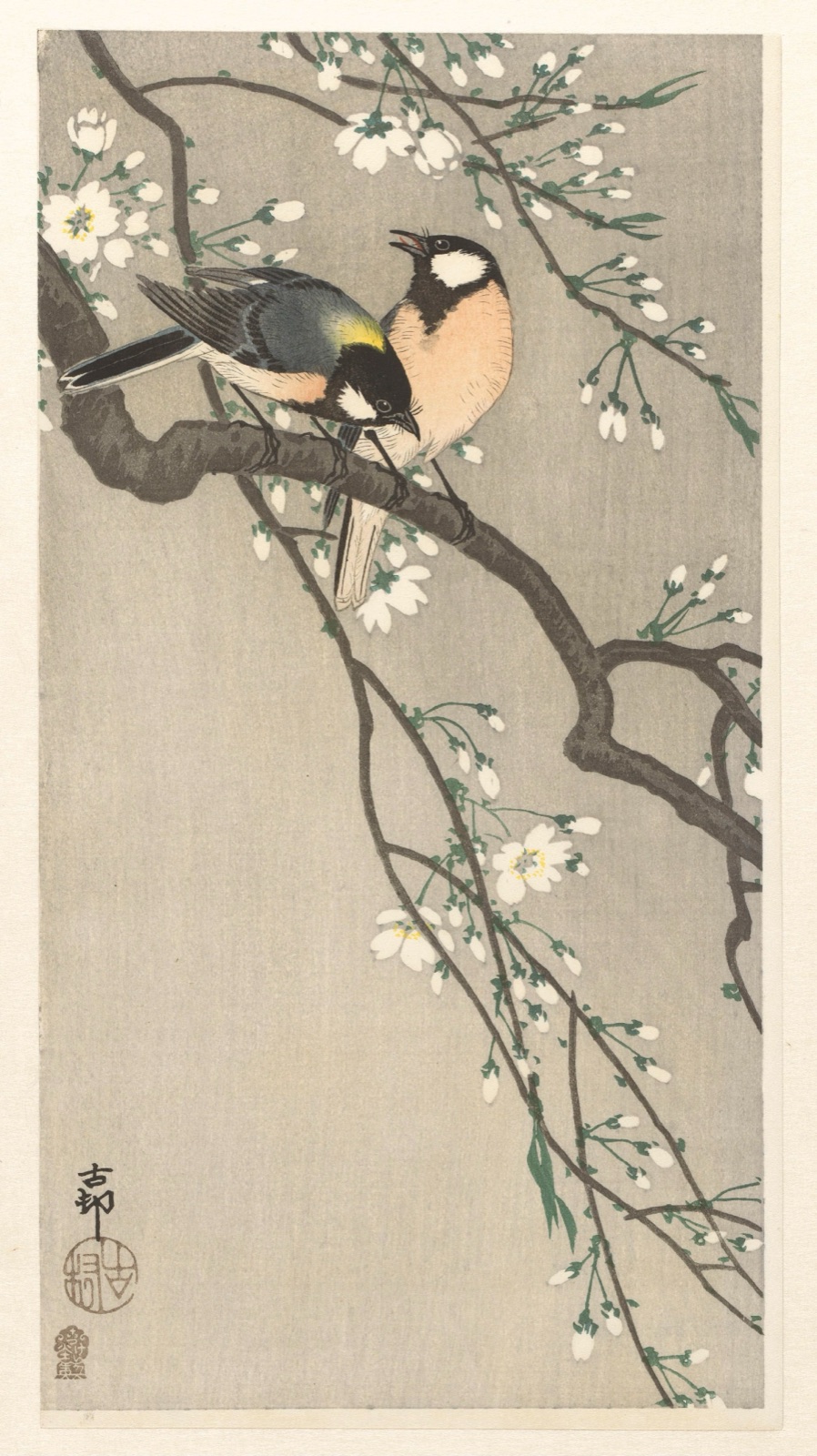 Koolmezen op bloesemtak — Akiyama Buemon (publisher); Ohara Koson (printmaker)