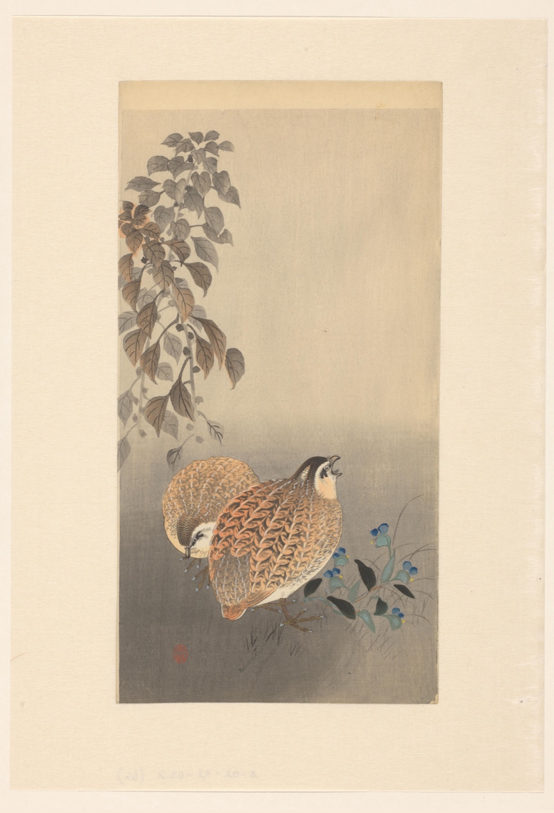 Twee kwartels — Ohara Koson (printmaker); Matsuki Heikichi (publisher)