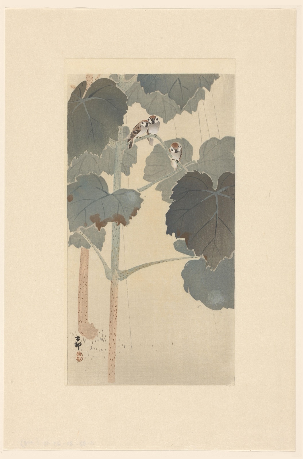 Mussen in de regen — Matsuki Heikichi (publisher); Ohara Koson (printmaker)