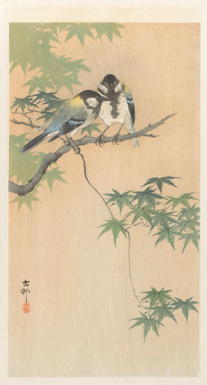 Koolmezen op esdoorntak — Ohara Koson (printmaker)