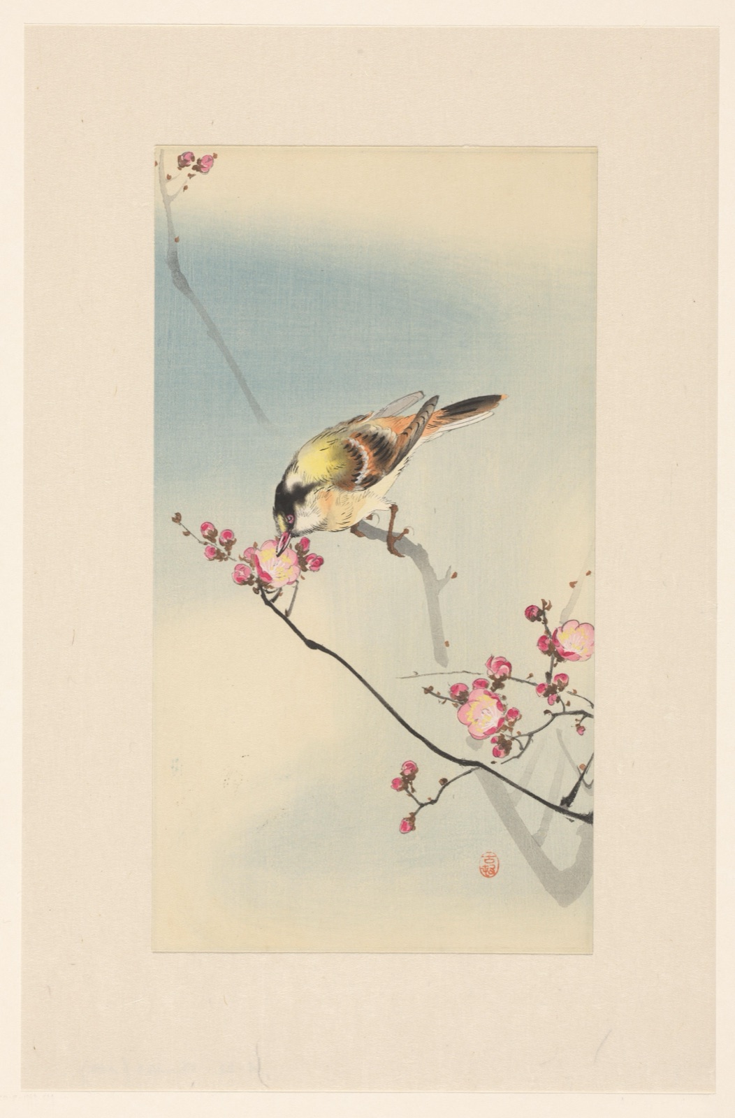 Zangvogel op bloesemtak — Matsuki Heikichi (publisher); Ohara Koson (printmaker)