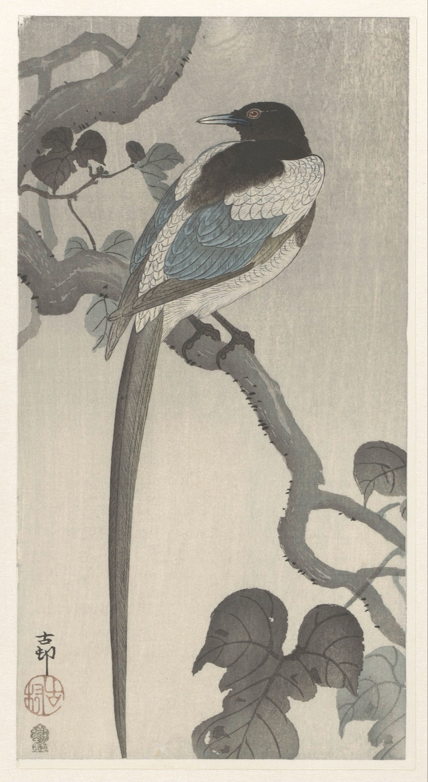 Ekster op boomtak — Ohara Koson (printmaker); Akiyama Buemon (publisher)