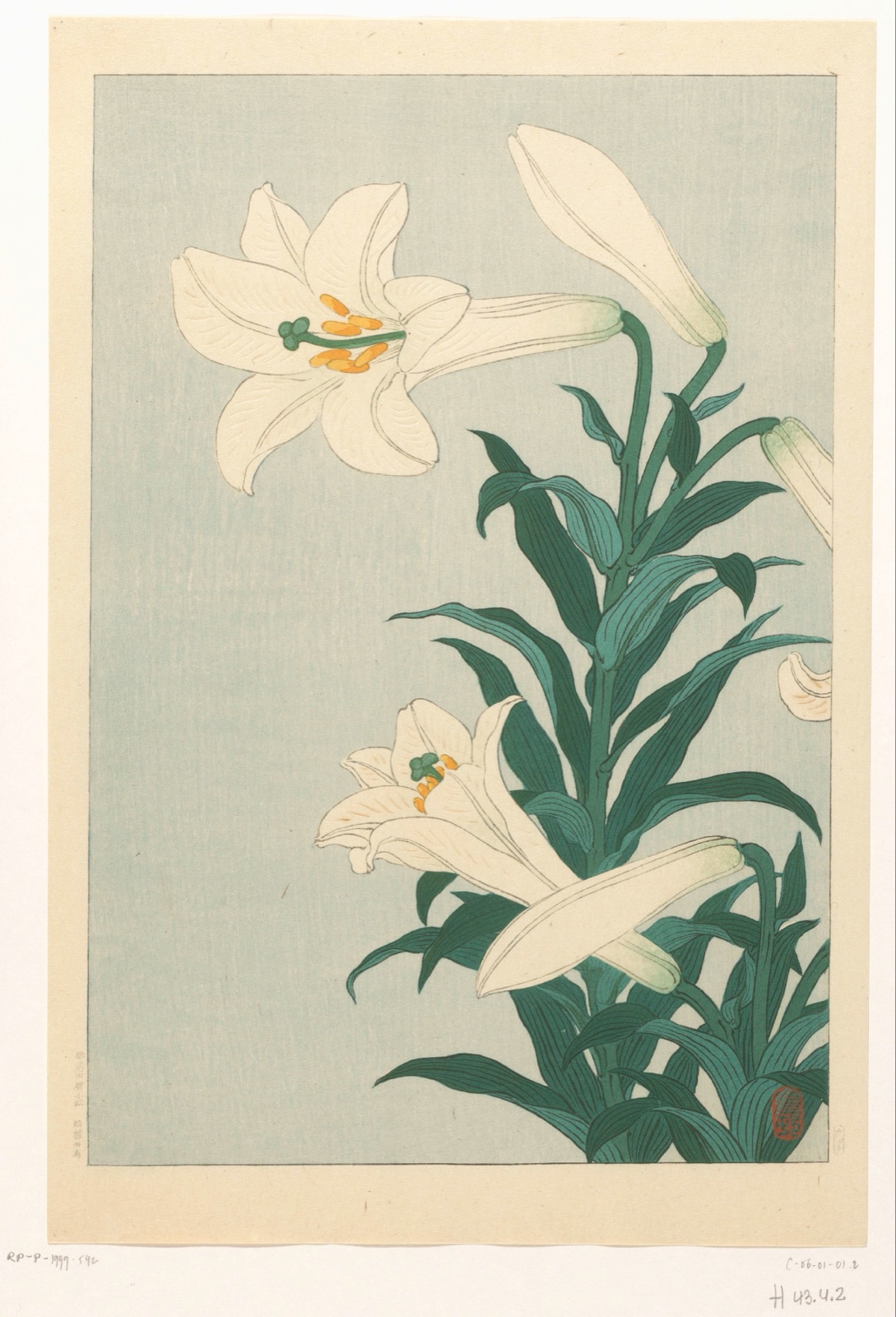Lelies — Kawaguchi (publisher); Ohara Koson (printmaker)