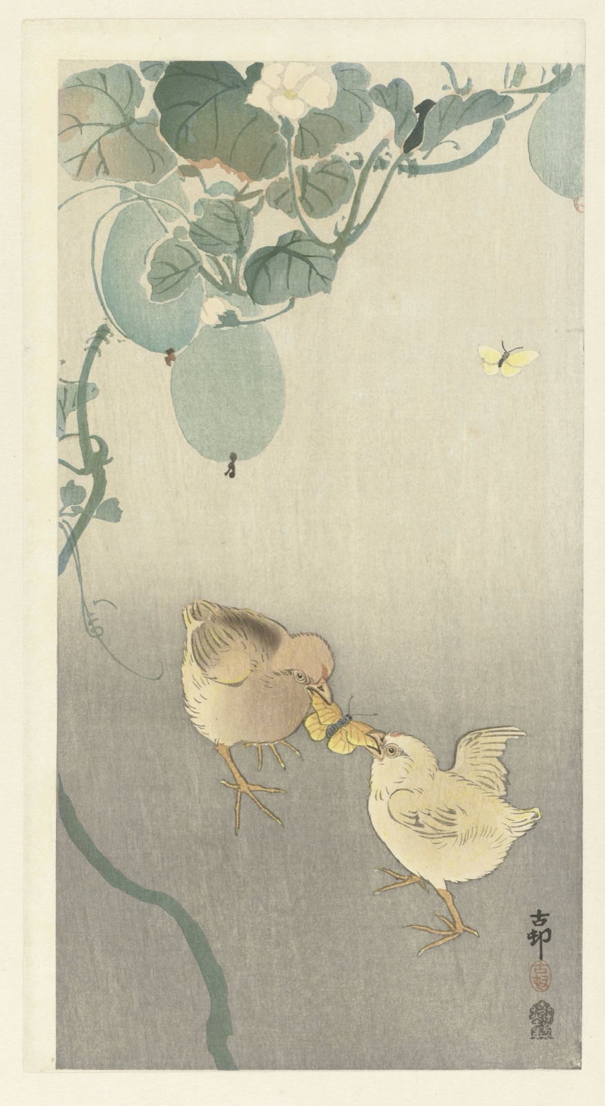 Twee kuikens vechtend om vlinder — Ohara Koson (printmaker); Akiyama Buemon (publisher)