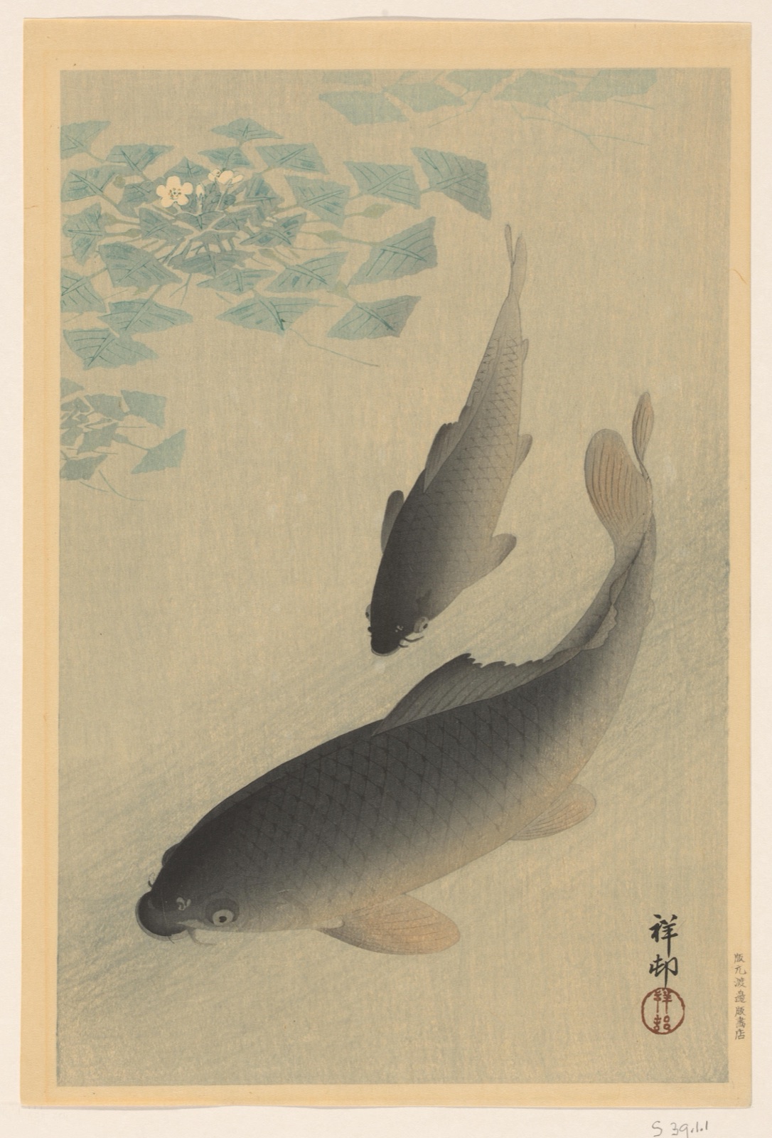 Twee karpers — Watanabe Shōzaburō (publisher); Ohara Koson (printmaker)