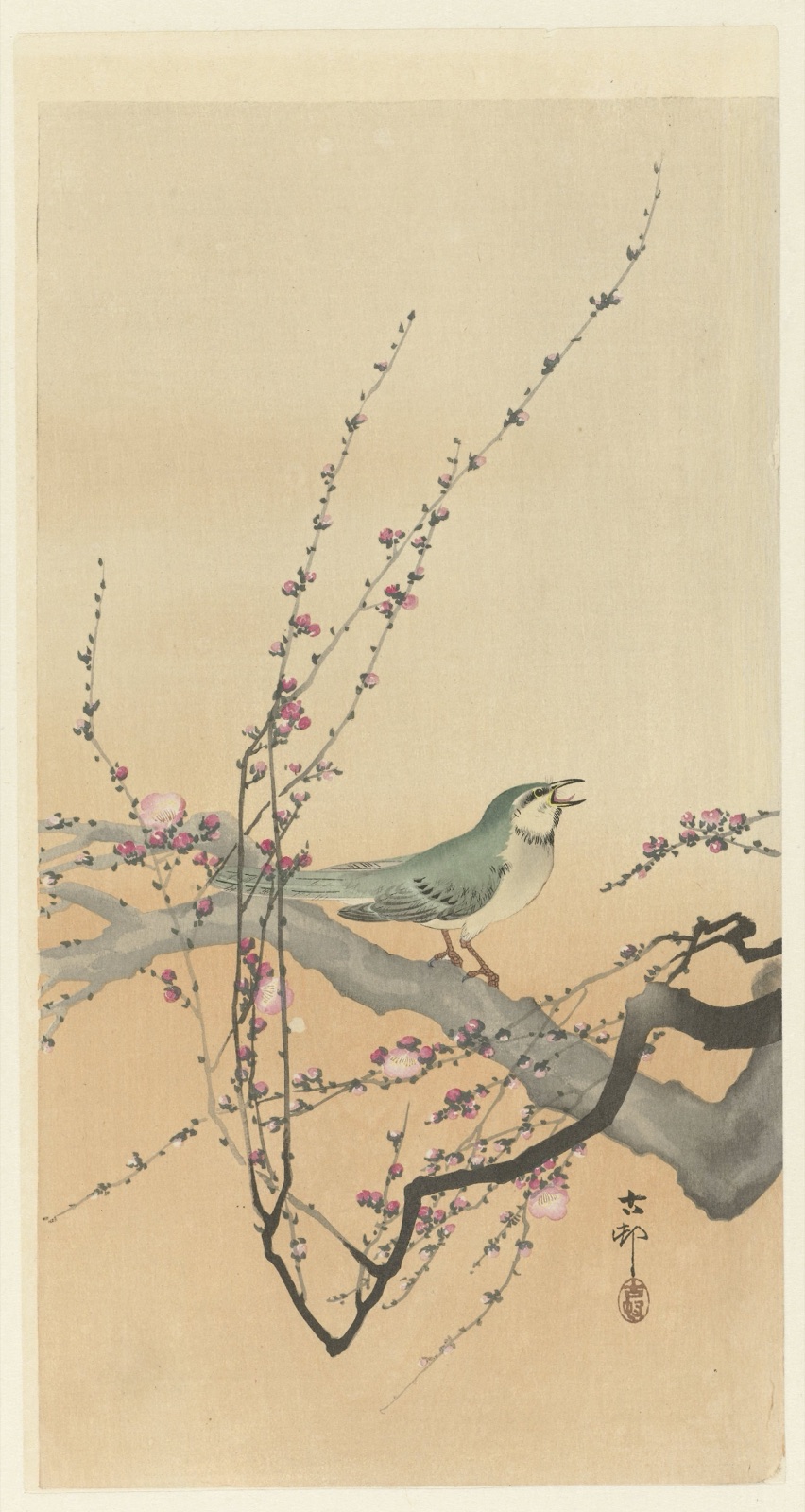 Zangvogel en pruimenbloesem. — Ohara Koson (printmaker)