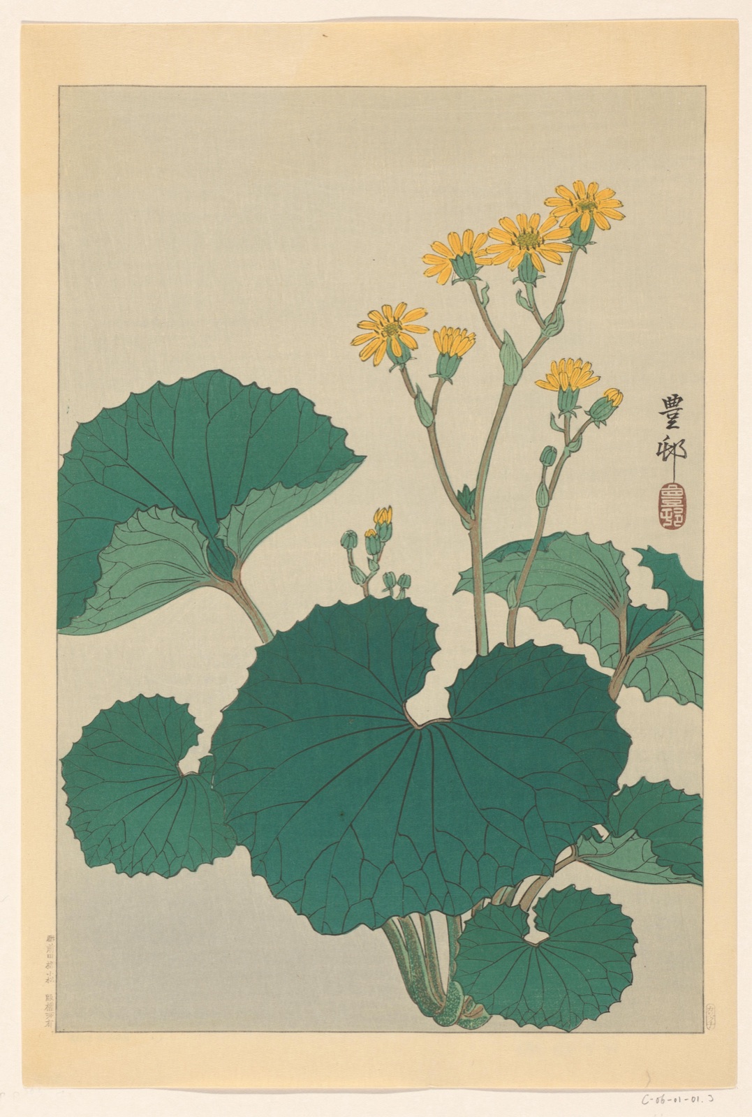 Kruiskruid — Ohara Koson (printmaker); Kawaguchi (publisher)