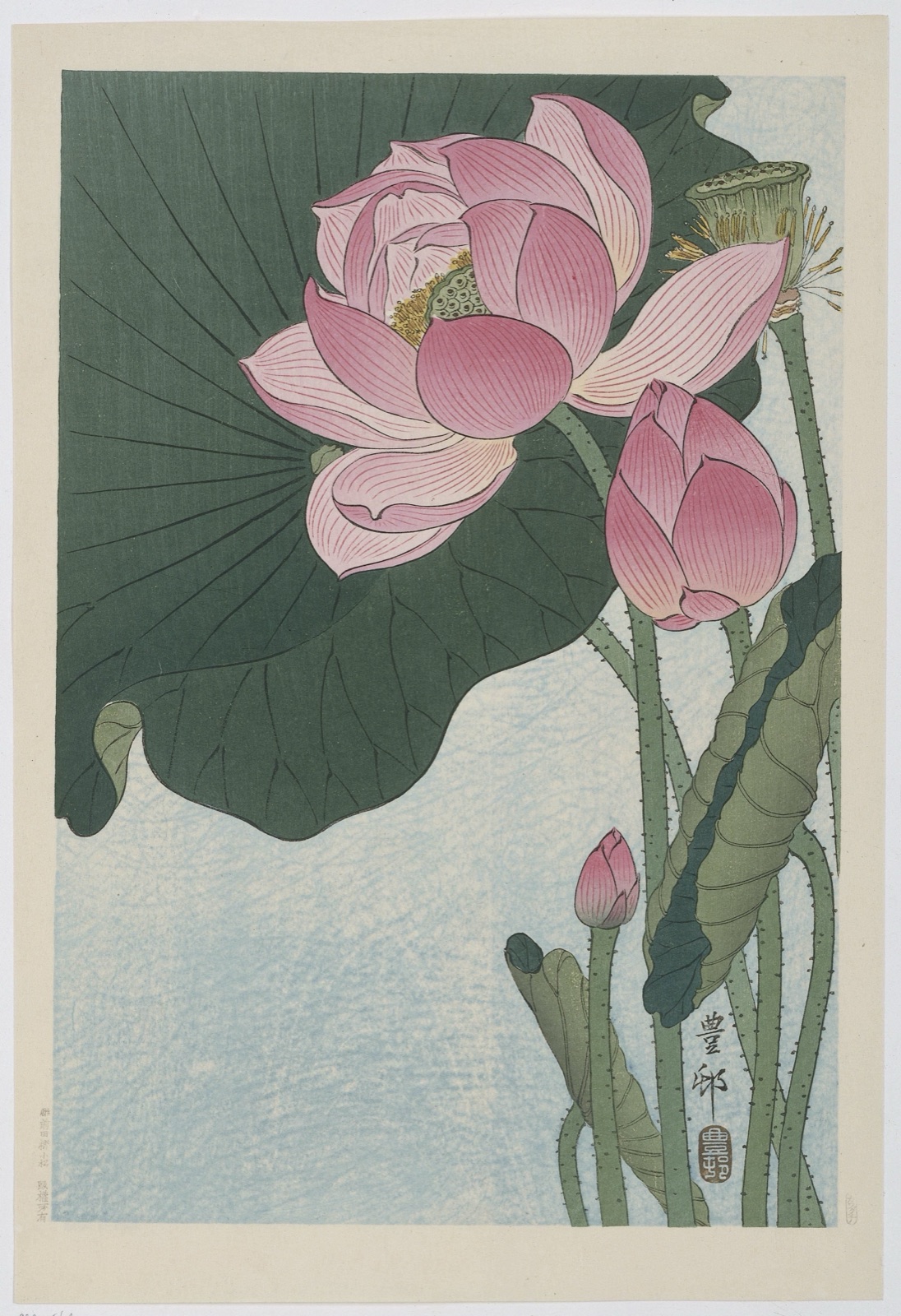 Bloeiende lotusbloemen — Ohara Koson (printmaker); Kawaguchi (publisher)