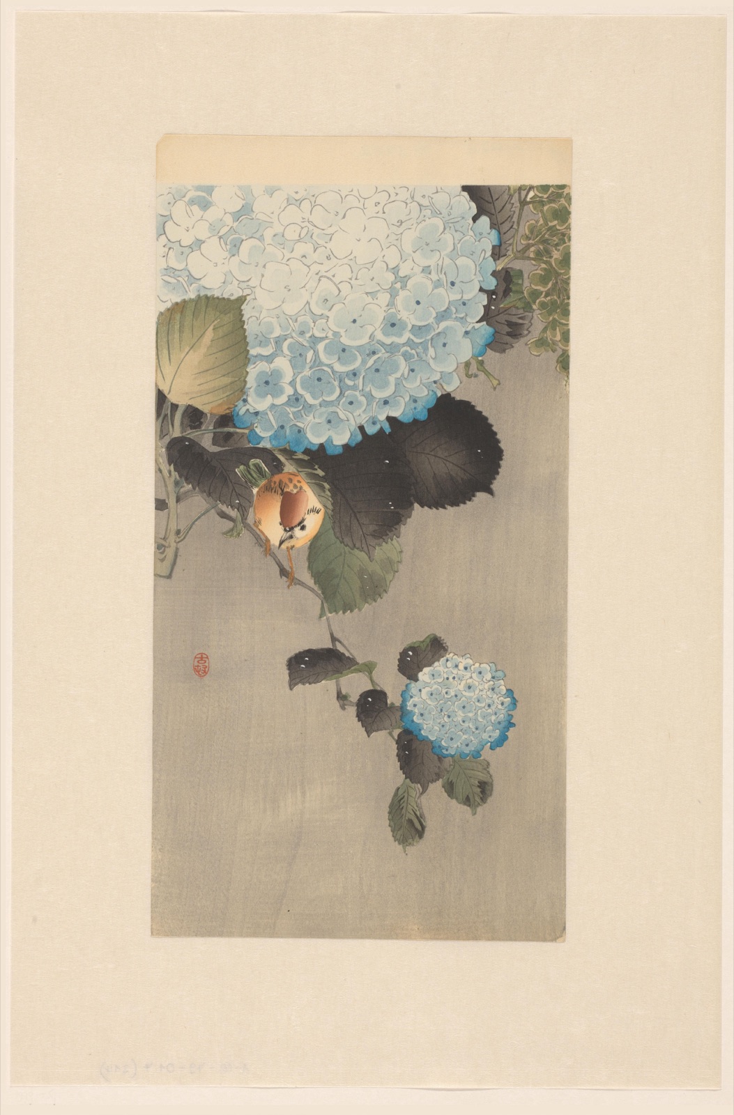 Ringmus en hortensia — Matsuki Heikichi (publisher); Ohara Koson (printmaker)