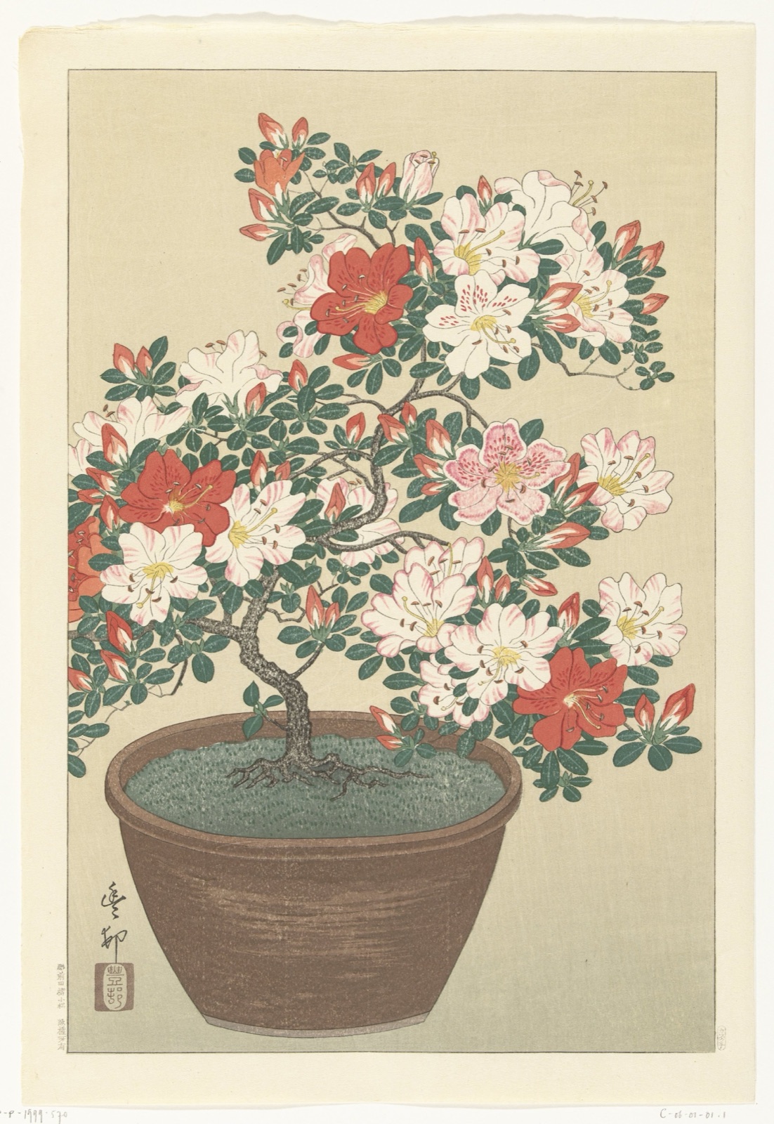 Bloeiende azalea in bruine pot — Kawaguchi (publisher); Ohara Koson (printmaker)