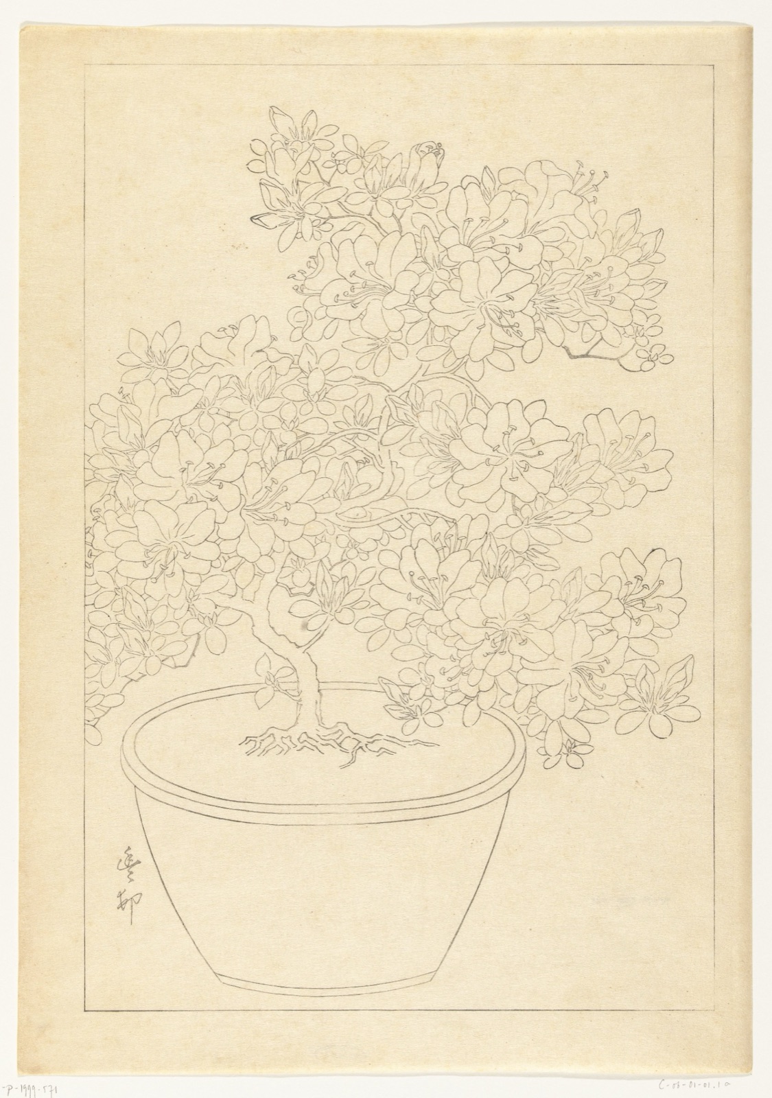 Bloeiende azalea in pot — Kawaguchi (publisher); Ohara Koson (printmaker)