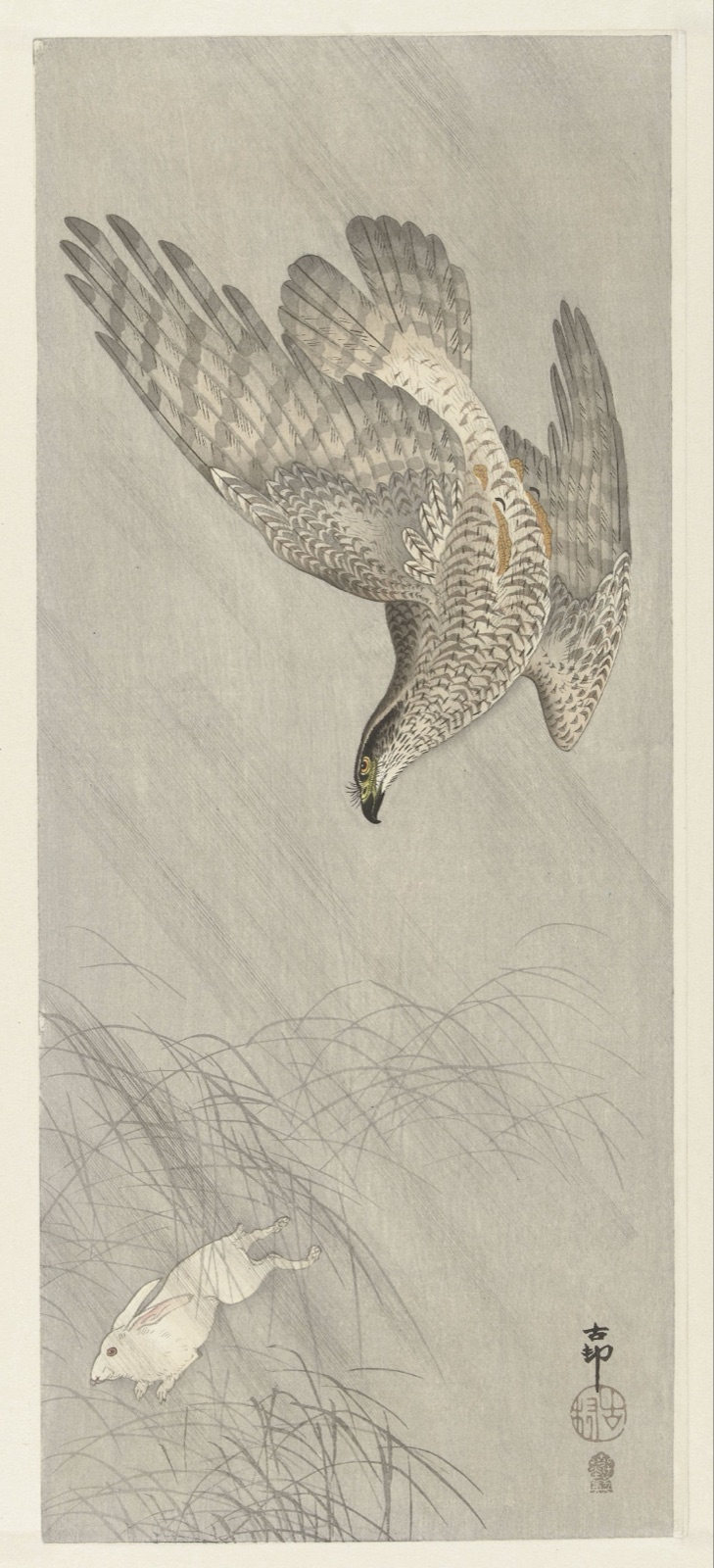 Havik op haas jagend — Akiyama Buemon (publisher); Ohara Koson (printmaker)
